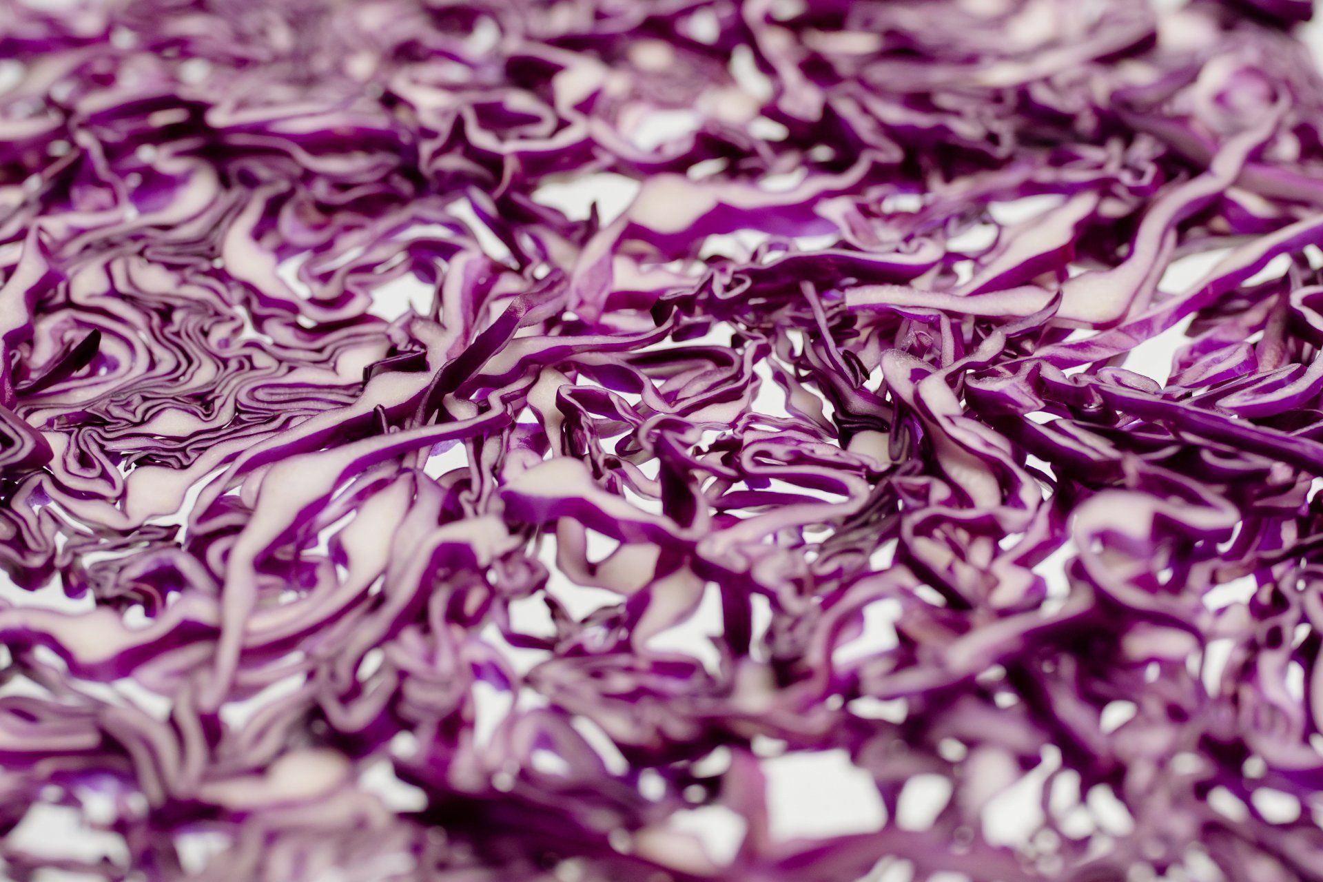 Nutrition and diet planning Brampton