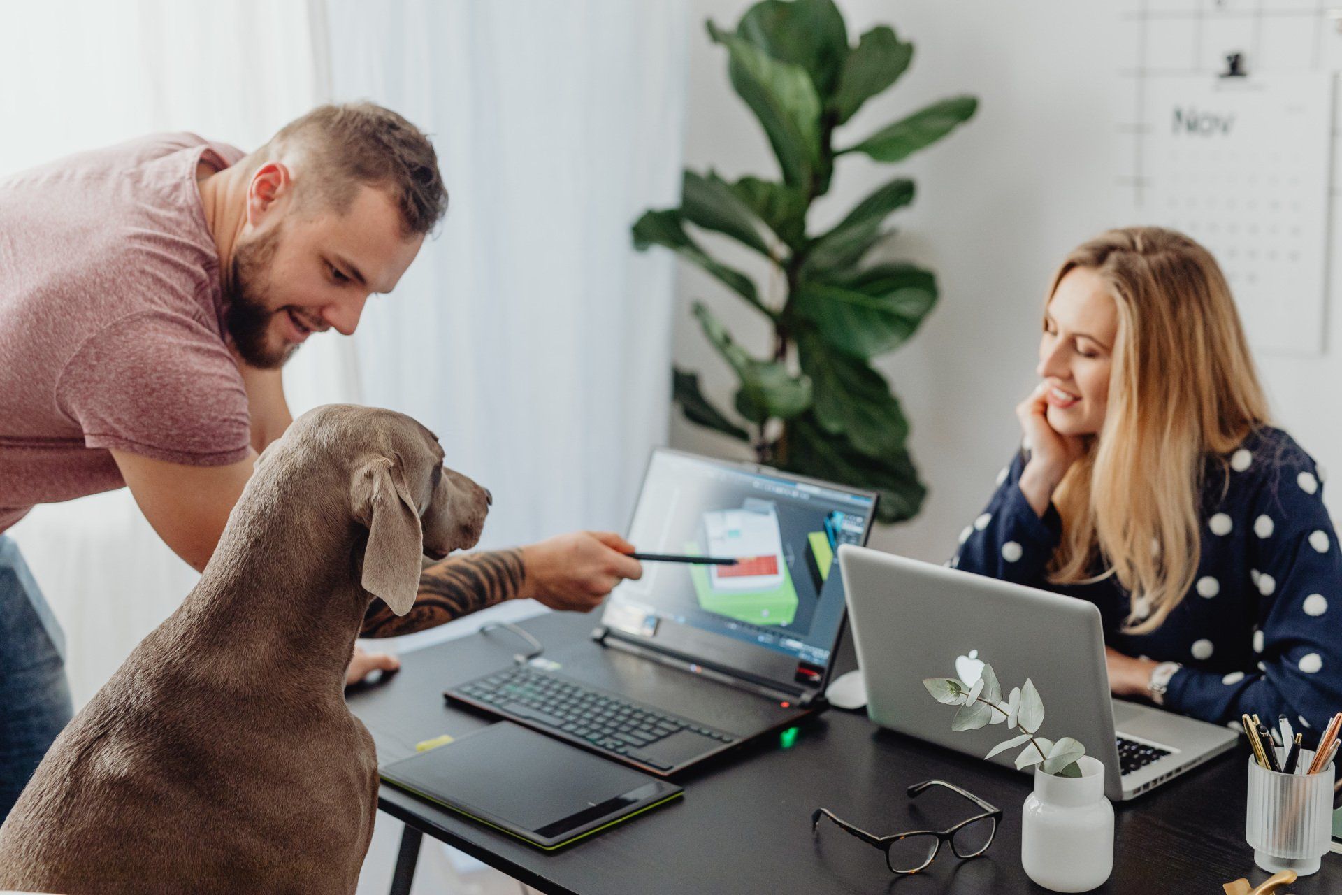 pets at work