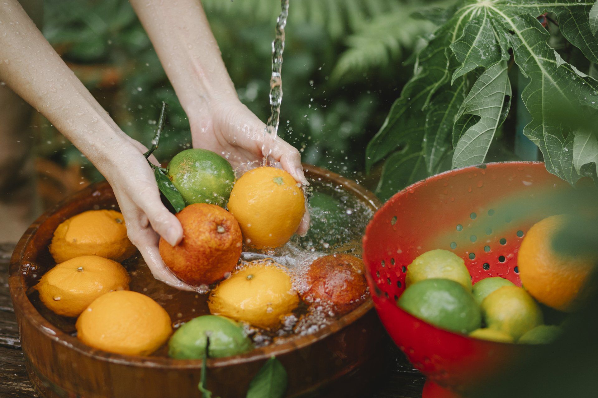 Orangen, Zitronen und Limetten in einem Becken im Freien