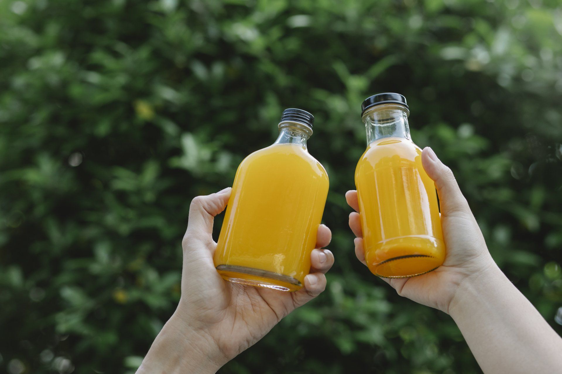 Saft Biolandhof Hauser Schlat