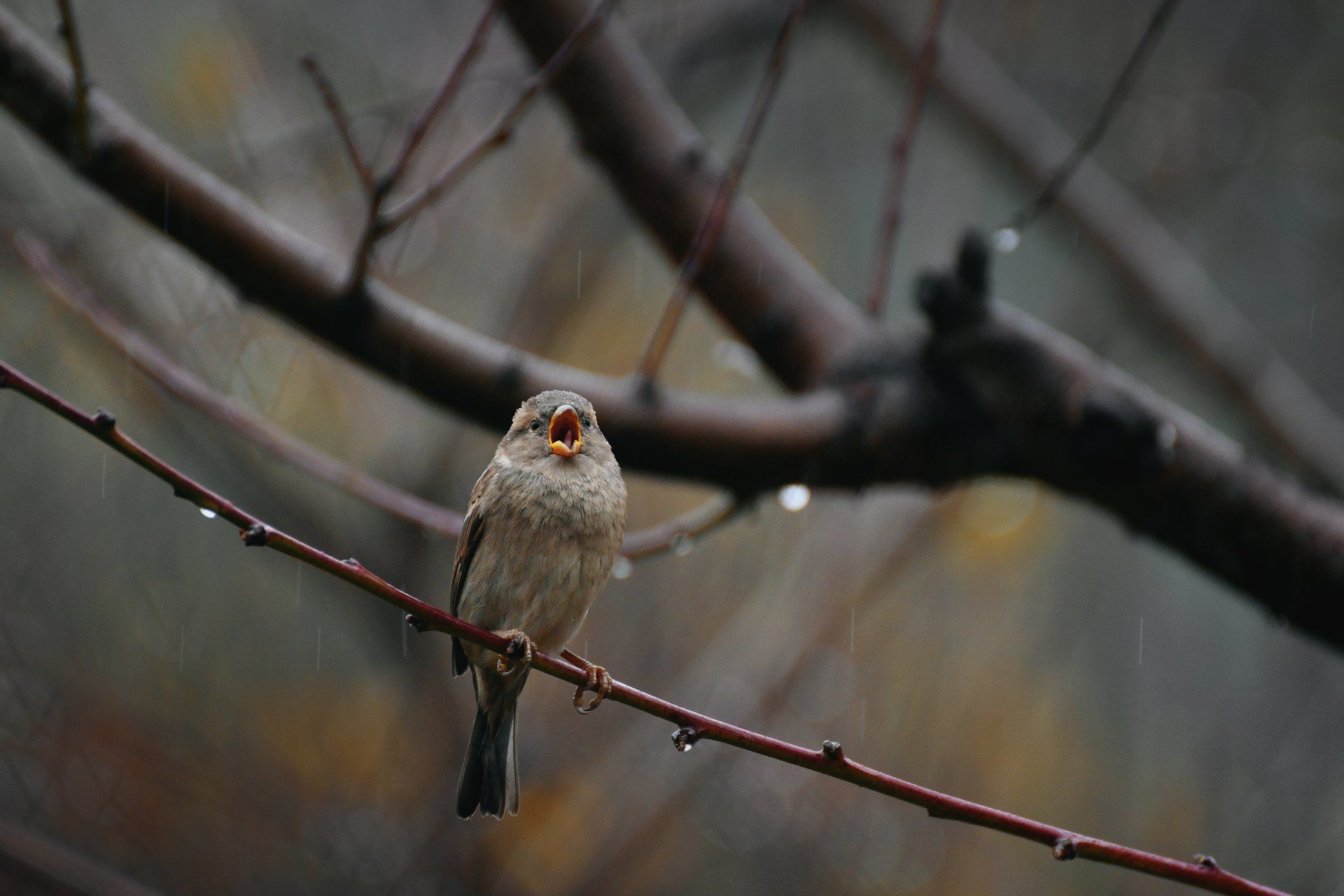 Spending Time In Nature by Sue Cartwright, Spiral Leaf