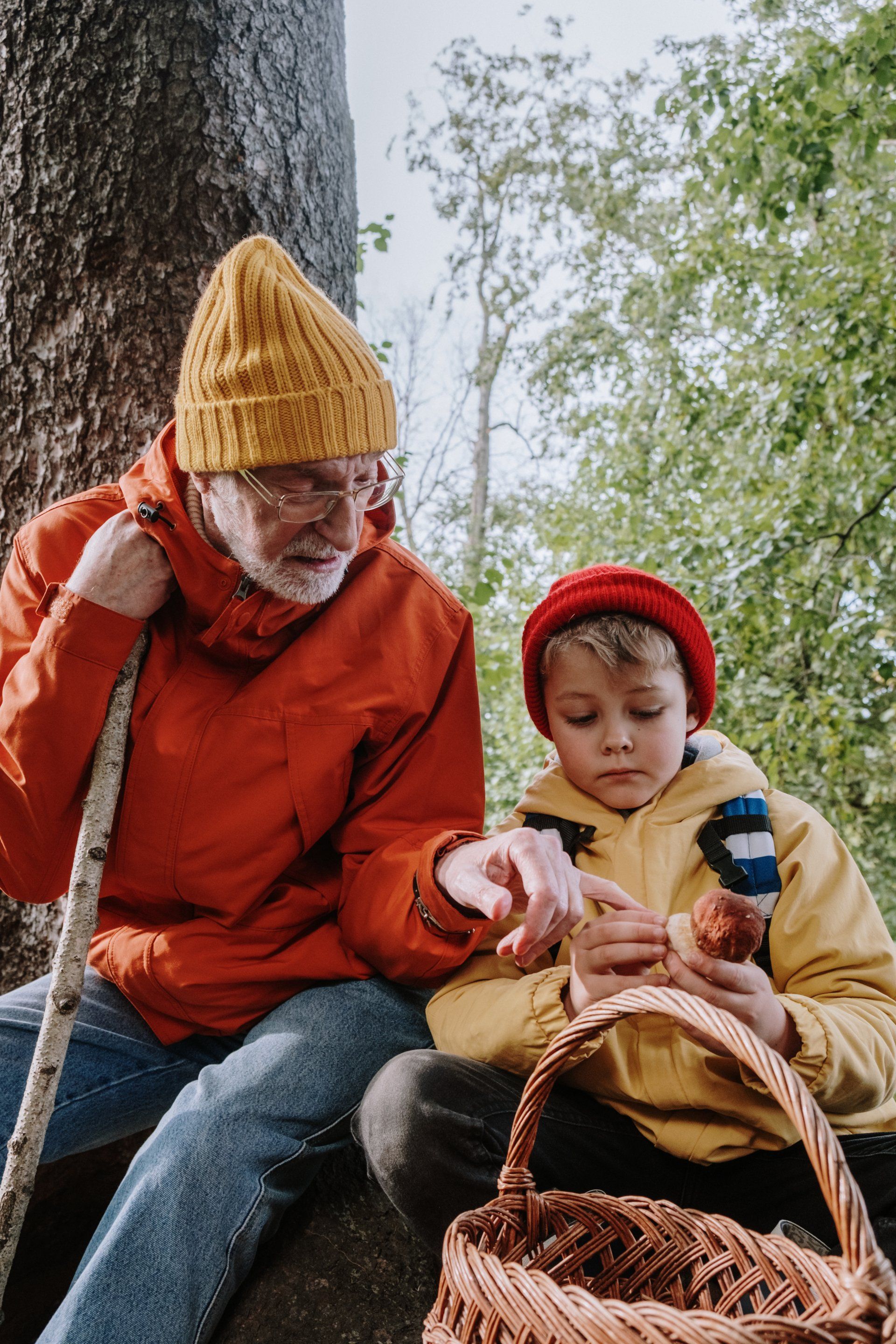 An elderly man and a young boy are sitting under a tree looking at mushrooms.