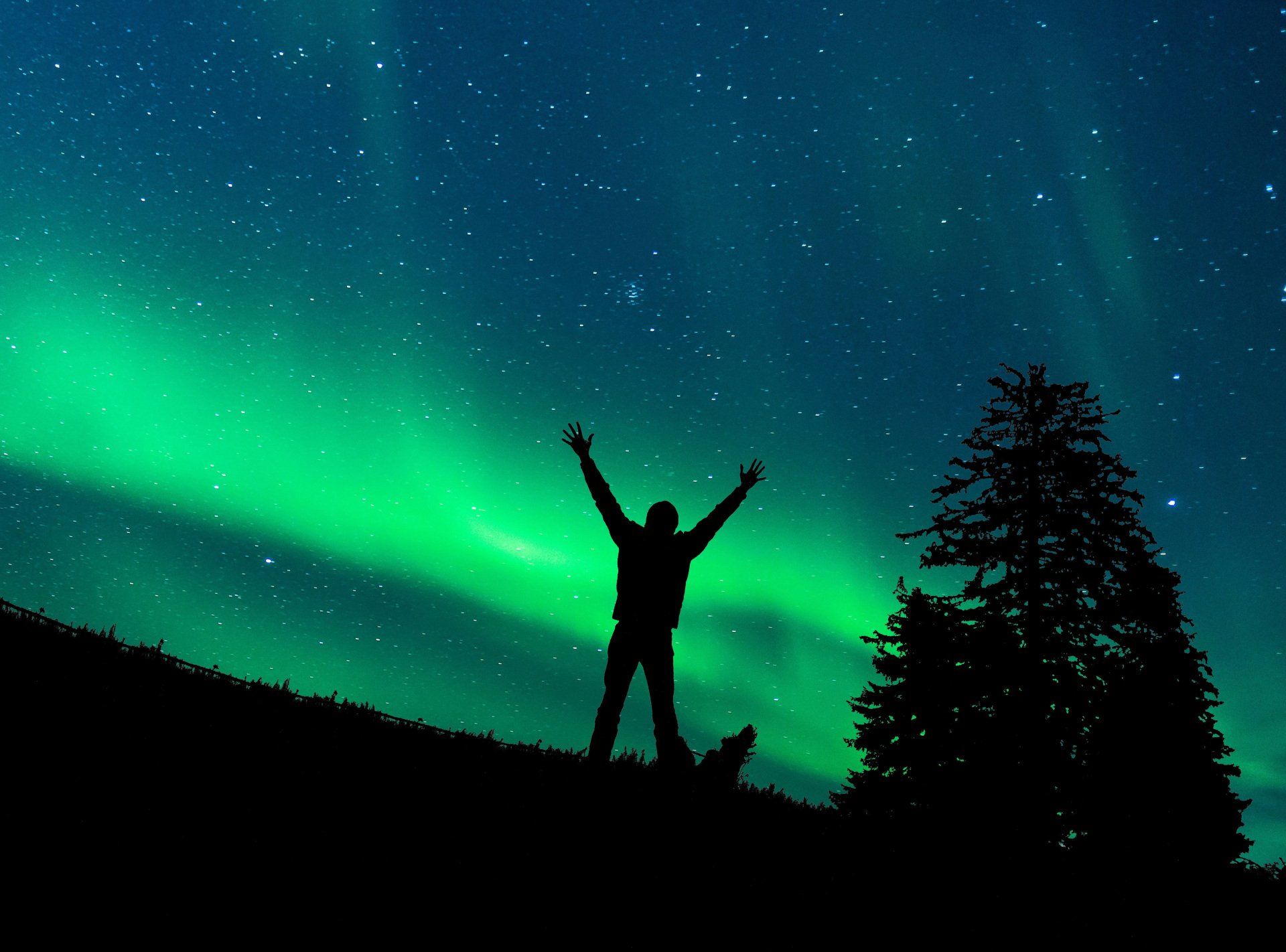 man's silhouette under northern lights