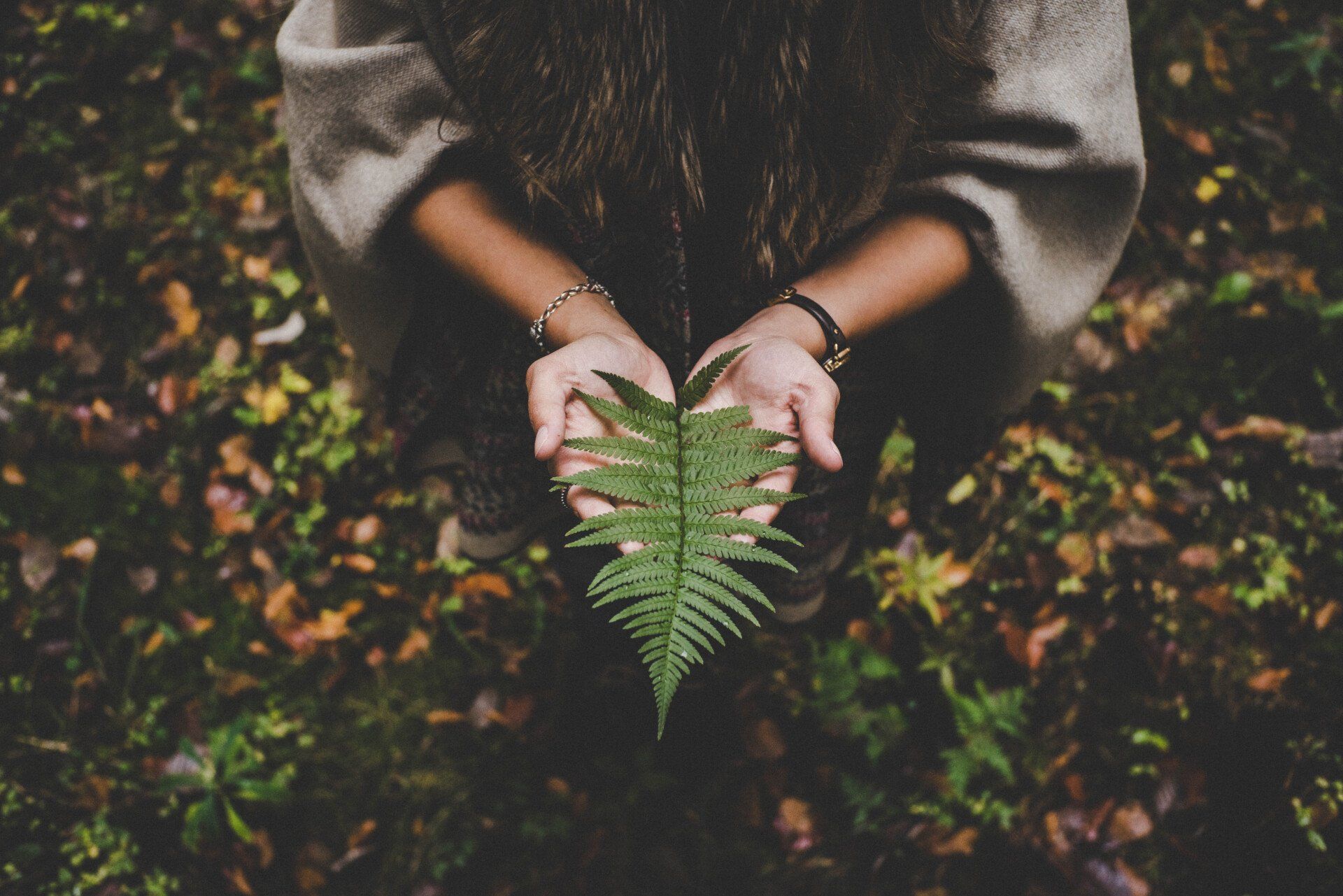 A woman holding a green fern in her hands.