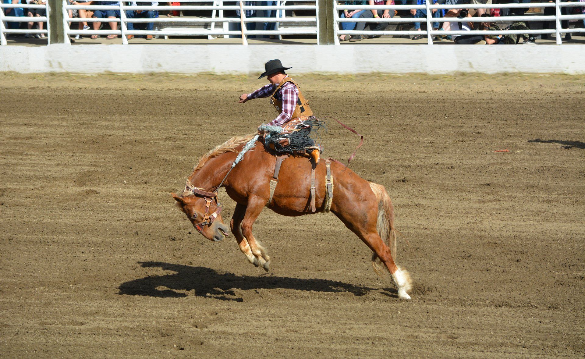 A man is riding a horse in a rodeo arena.
