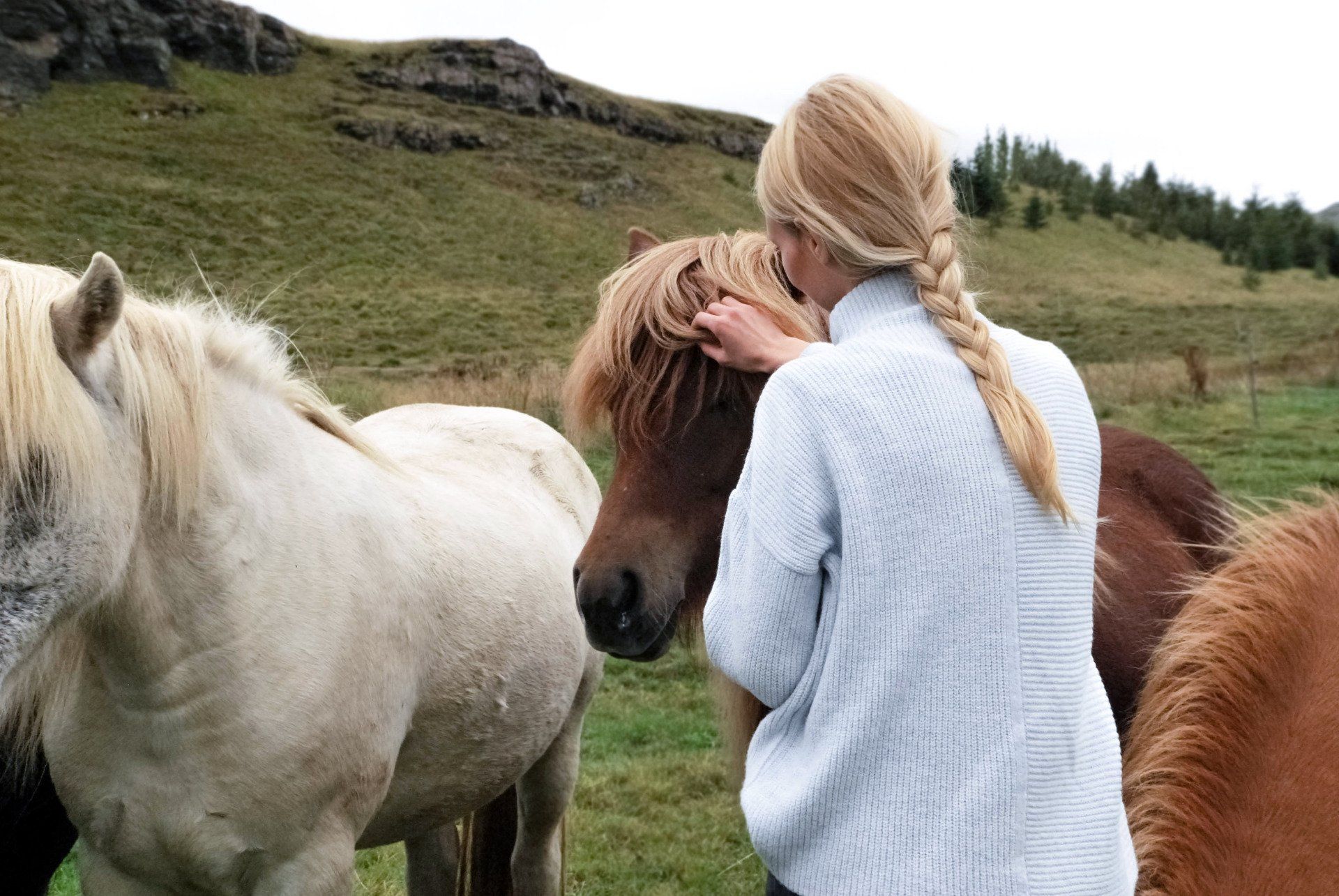 Girl stroking a horse in a field