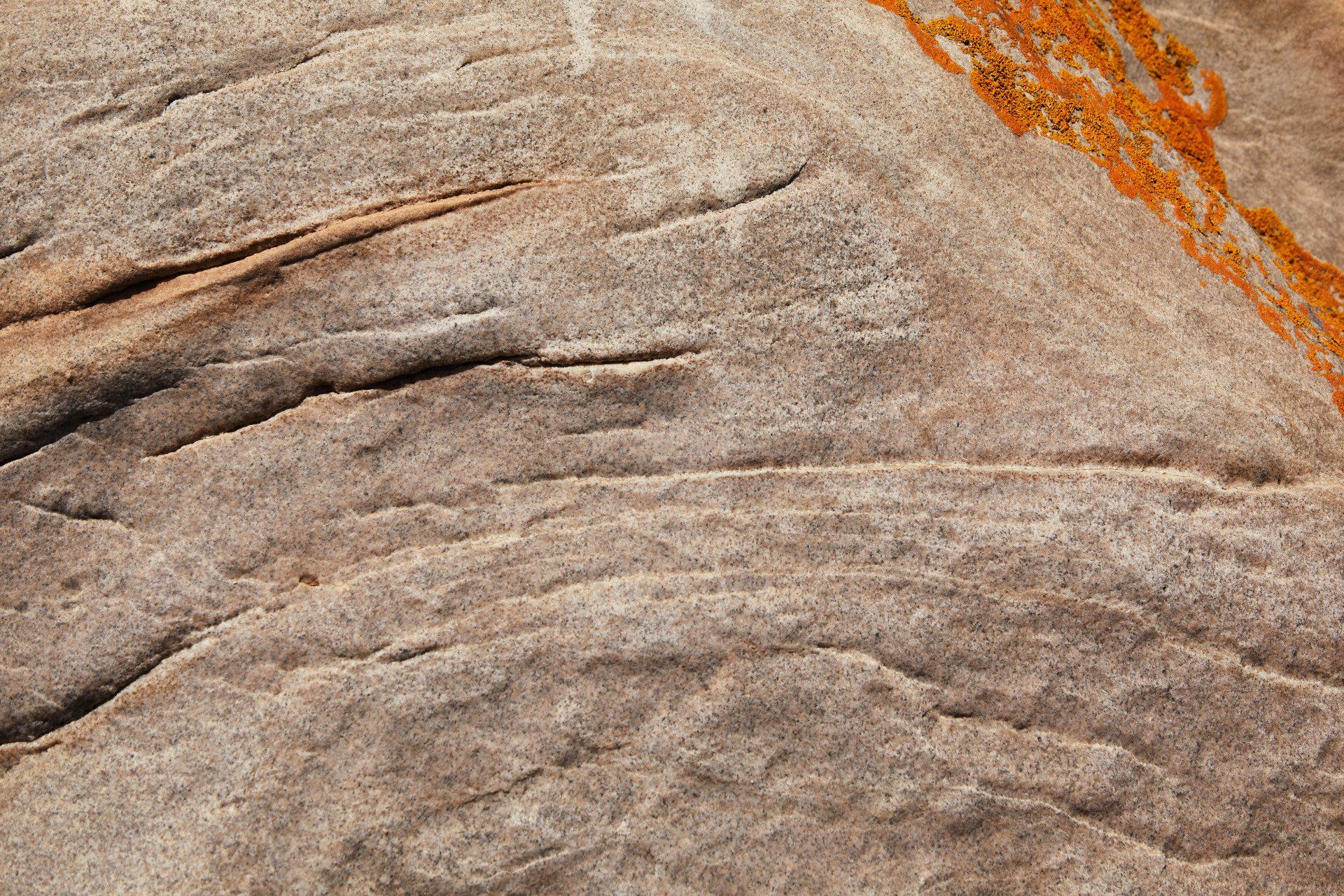 Close-up of layered beige rock with orange lichen streaks