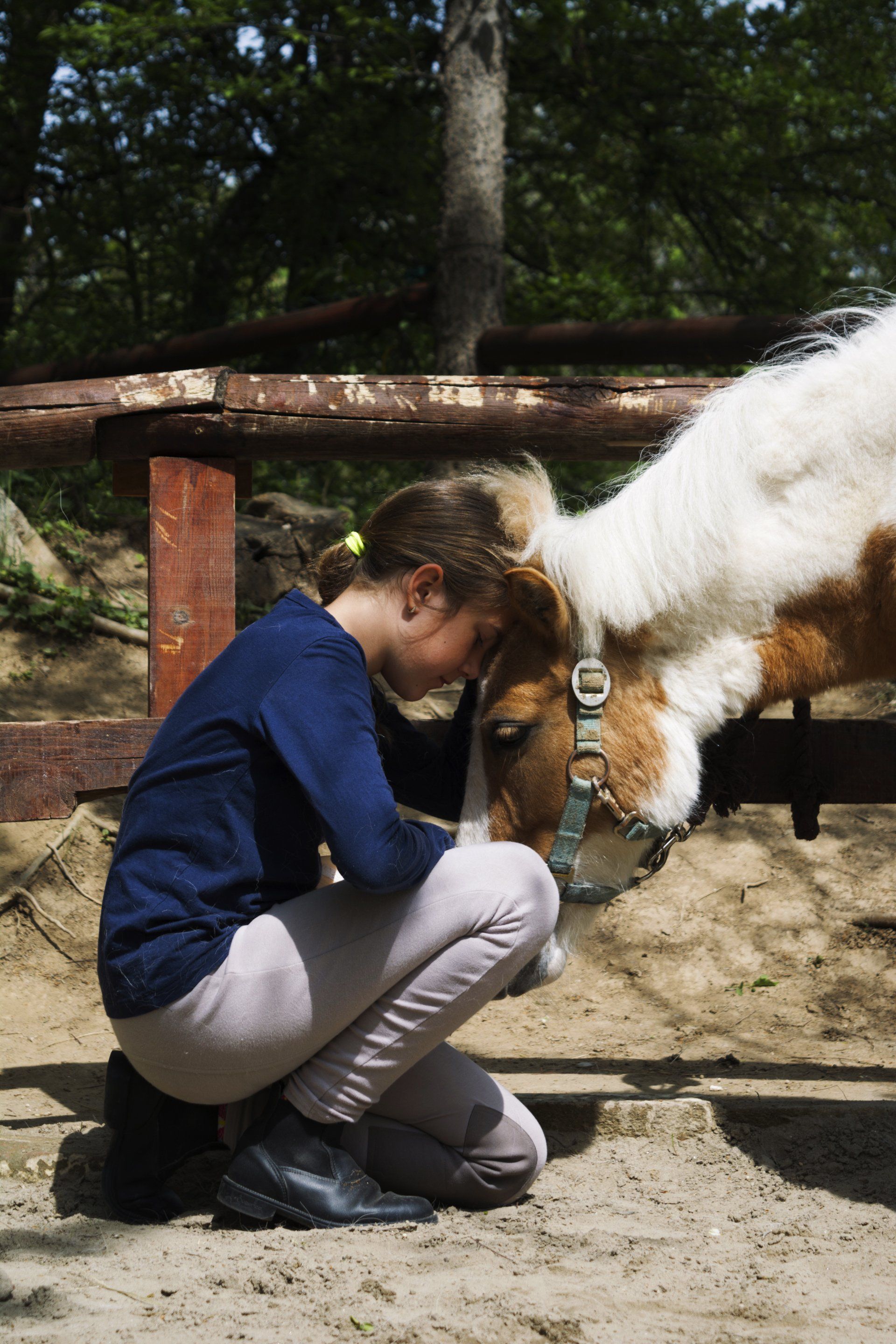 Een meisje in een blauw shirt knielt neer om de kop van een kleine, wit-bruine pony bij een houten hek aan te raken.