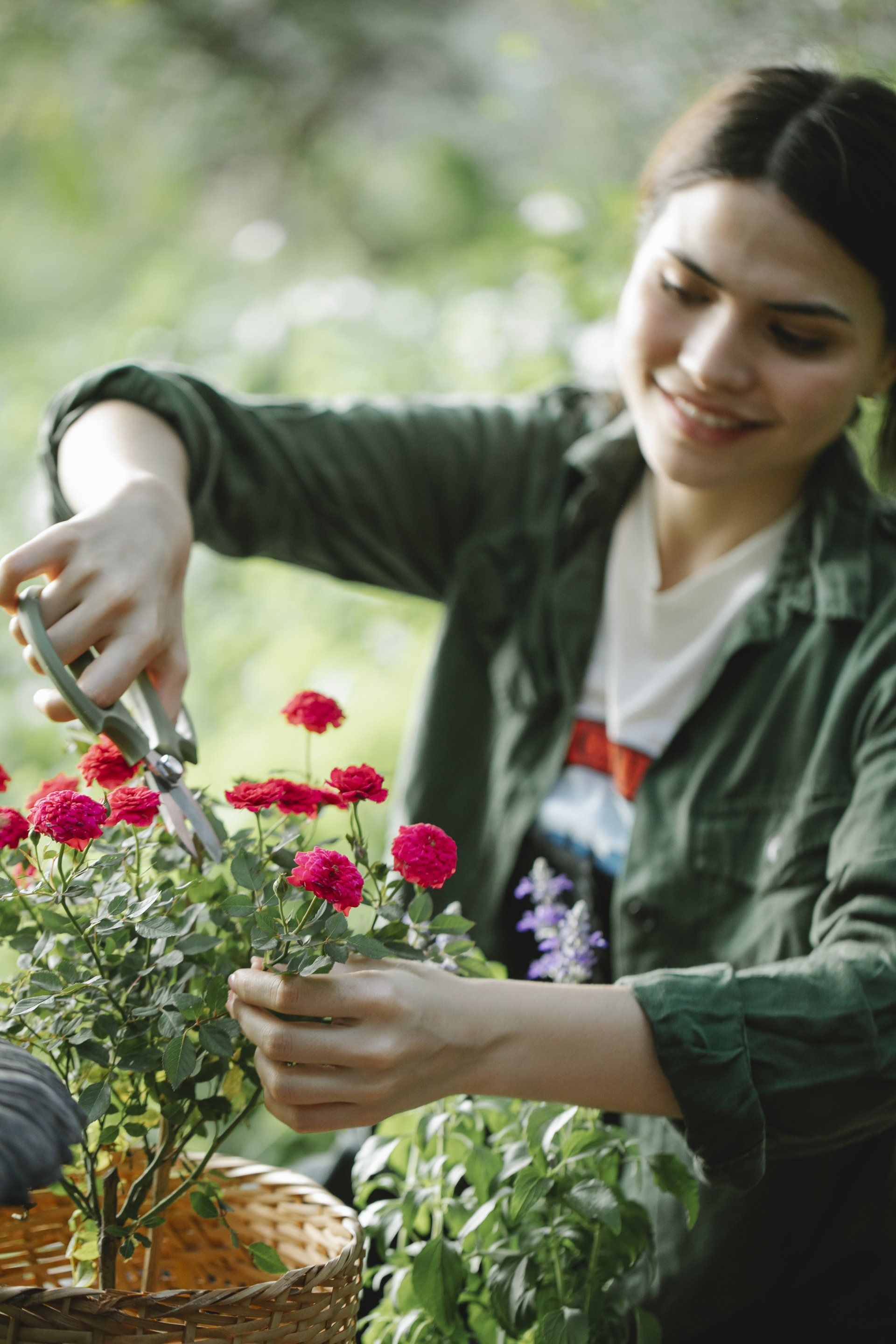 pruners-pruning-shears