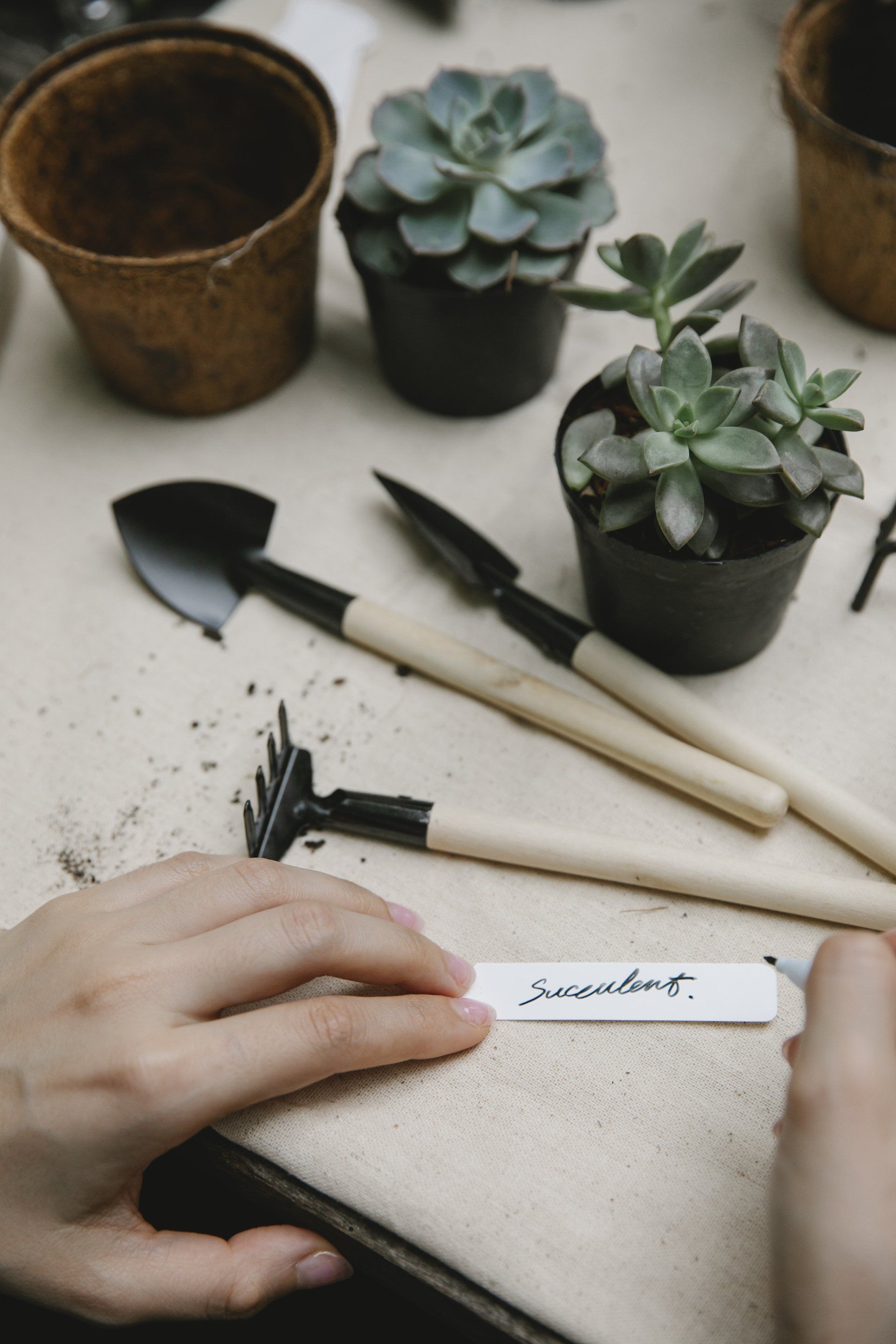 garden tools