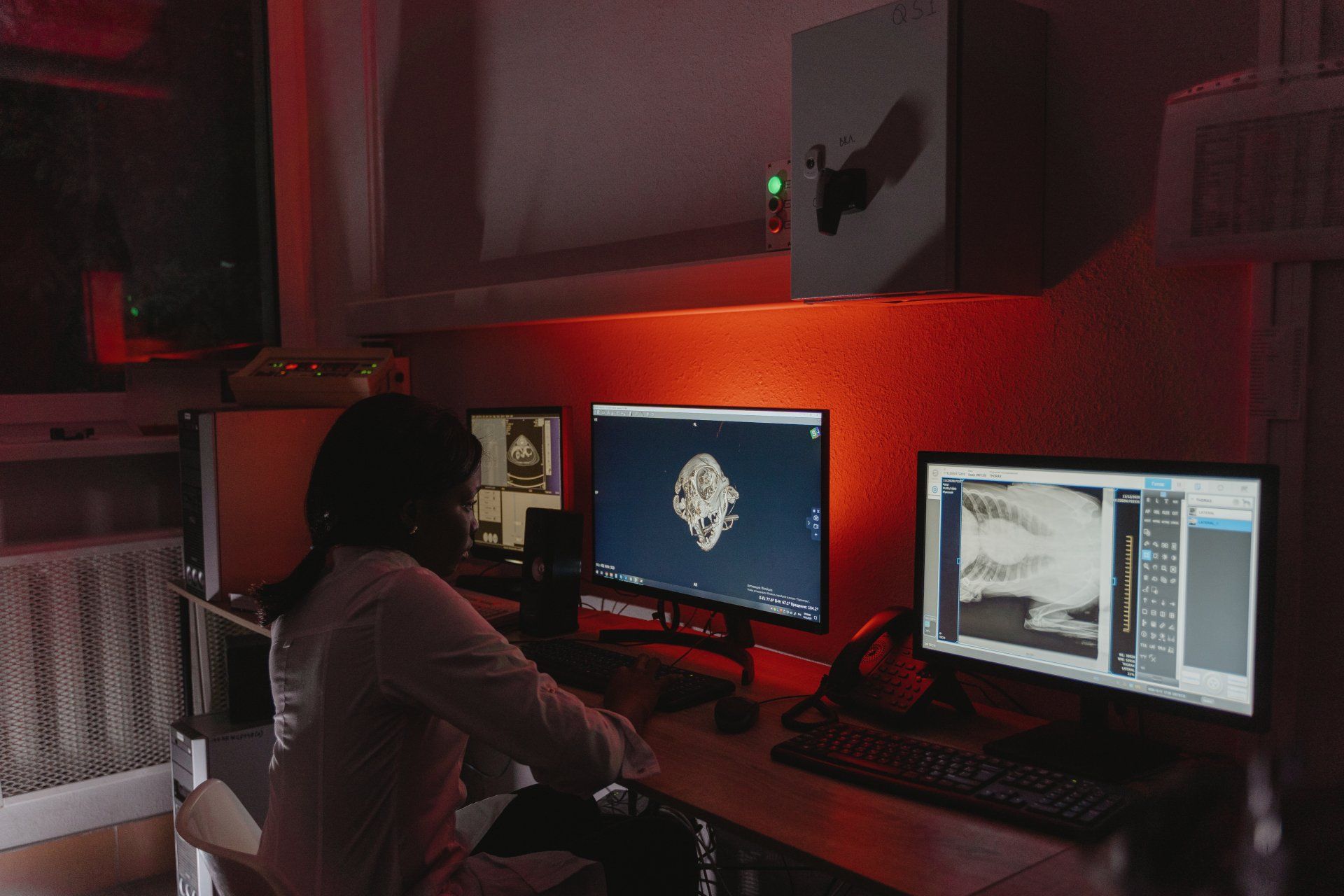Busy veterinarians don't have time for IT problems— or fixes.