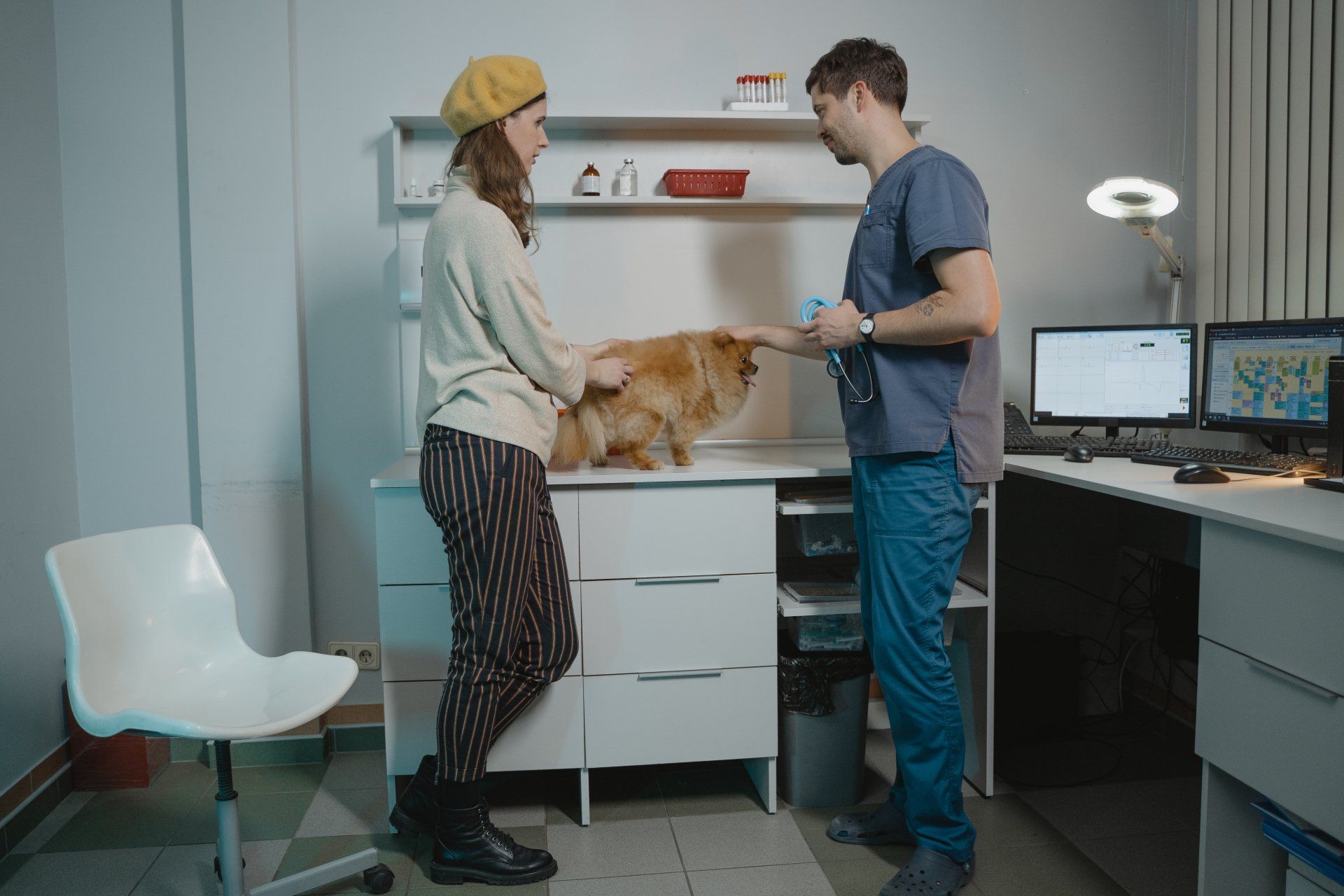 A woman is petting a cat while a veterinarian examines it.