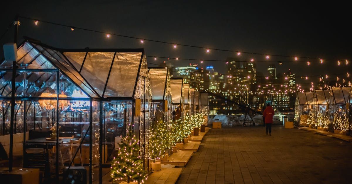 Holiday string lights glowing over an outdoor space at night with the Seattle skyline behind