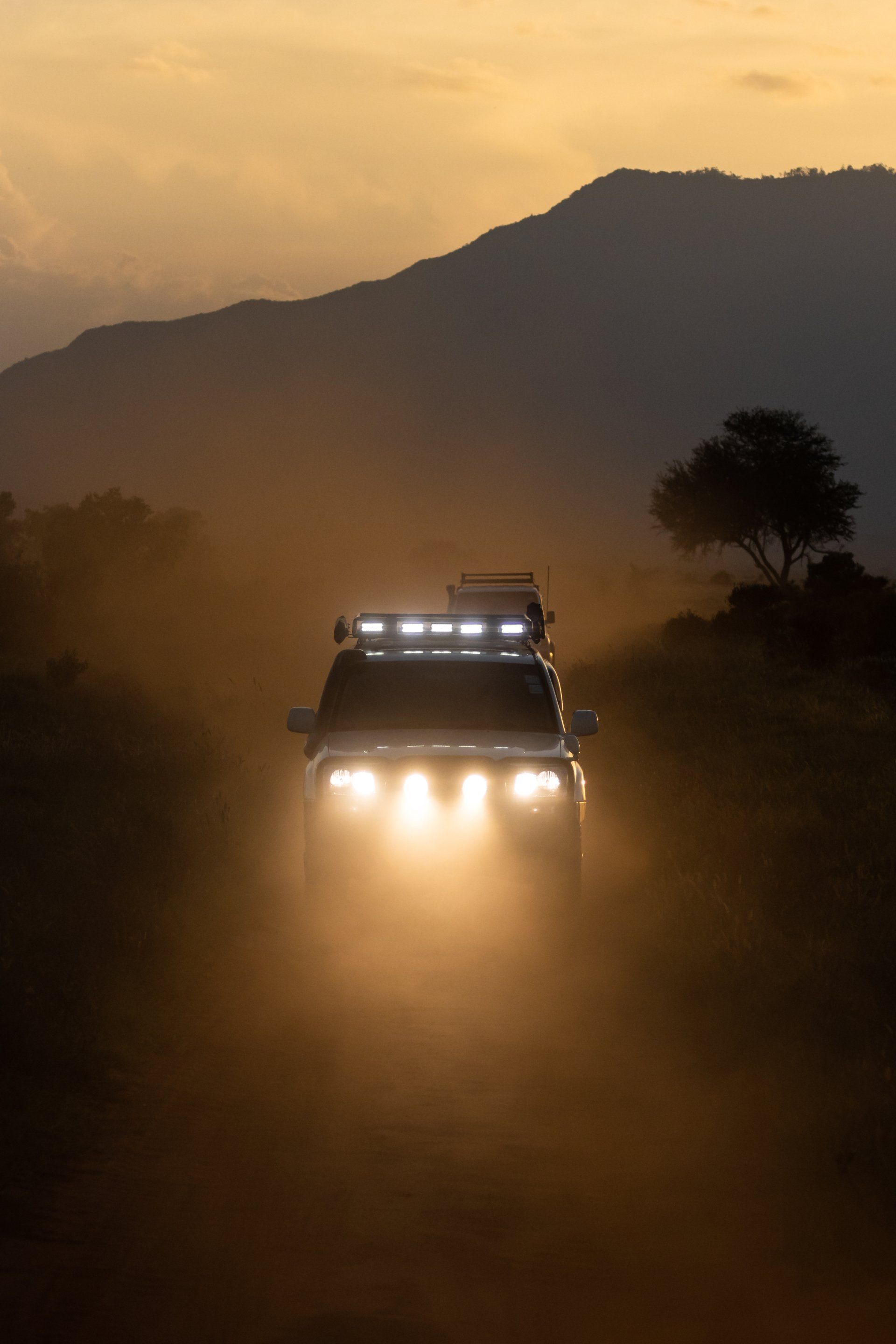 Safari Africa Luxika