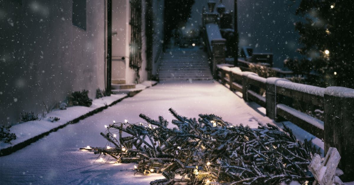 a christmas tree is laying on the ground in the snow .