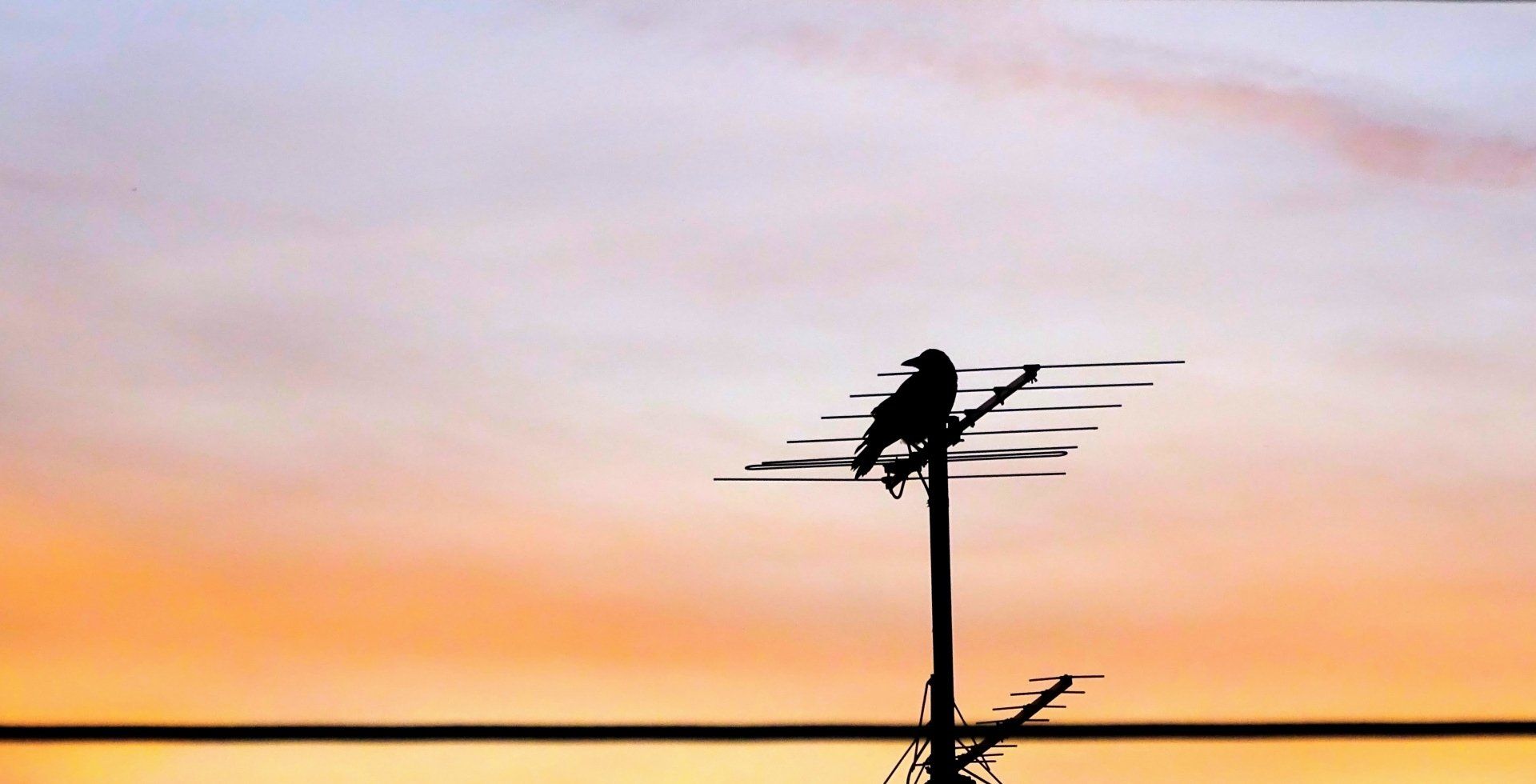 Antenna located at home