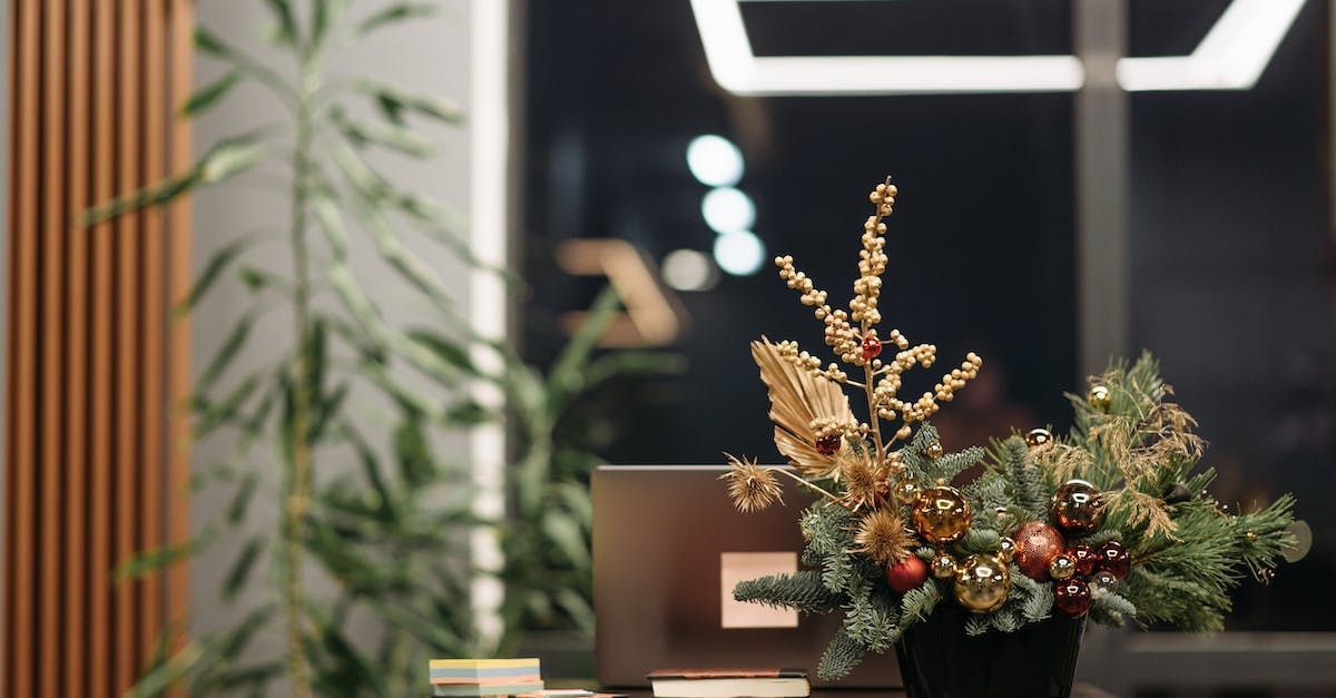 ATO spotlight on christmas parties and client gifts