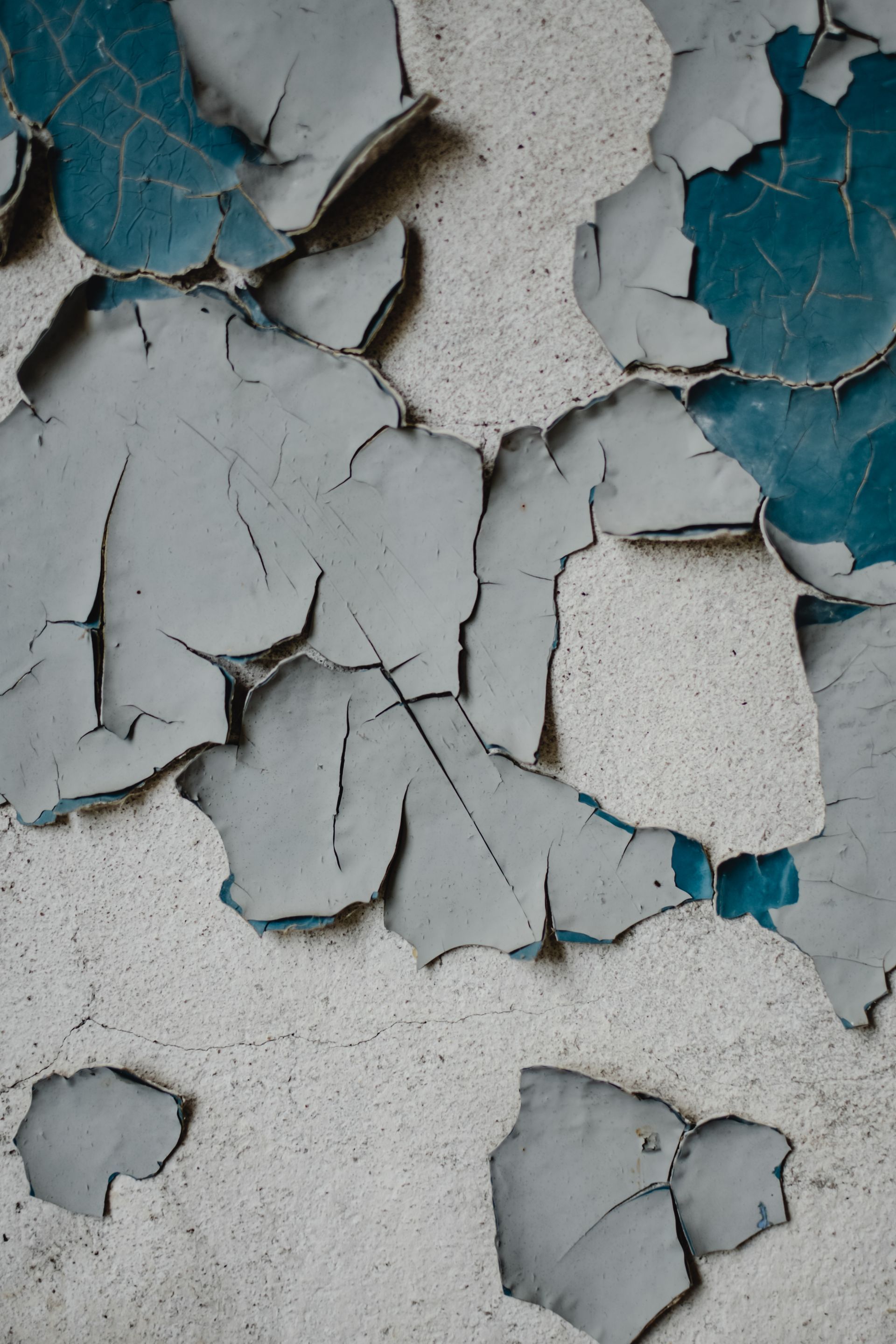 Paint Failures