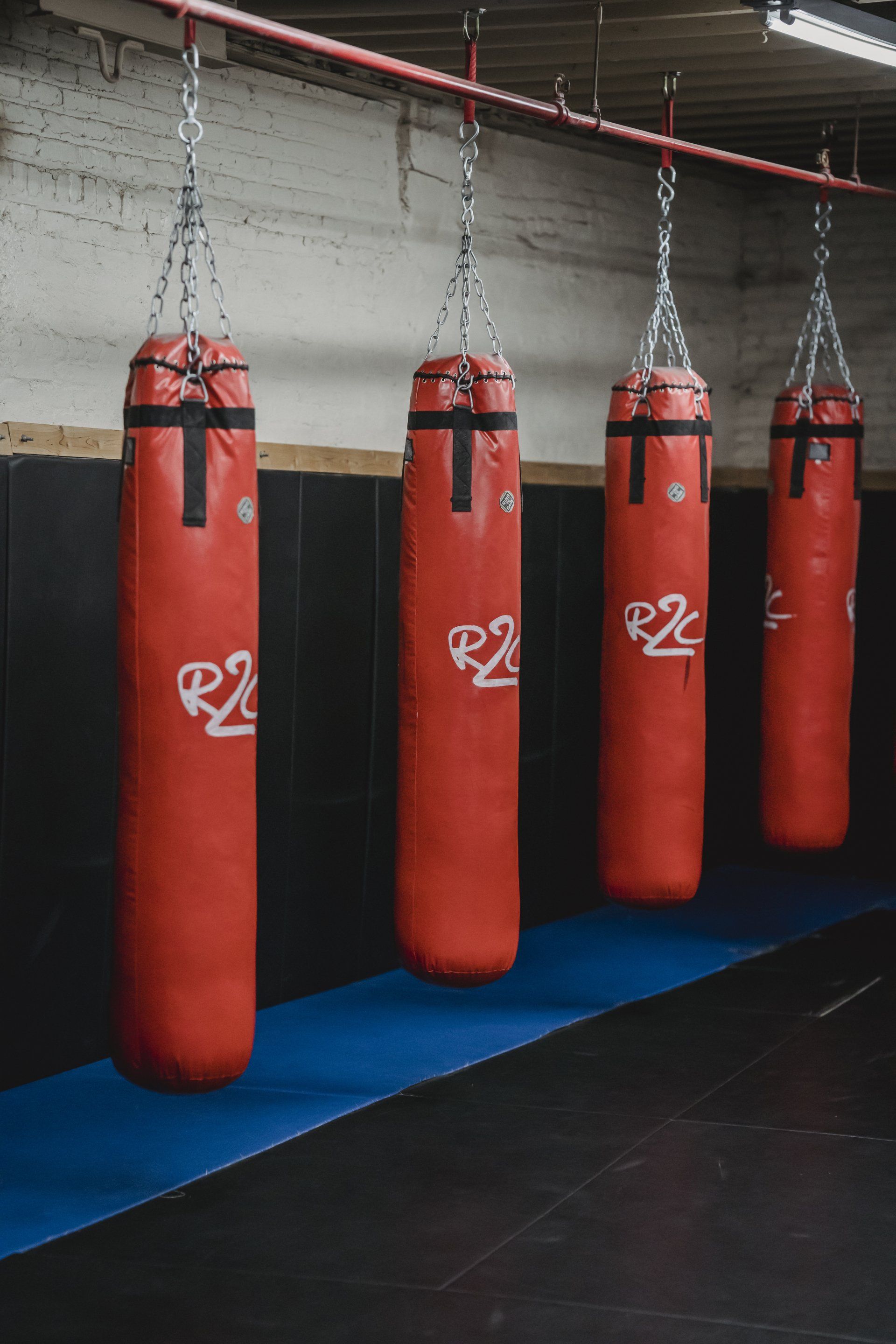 Row of boxing cushions