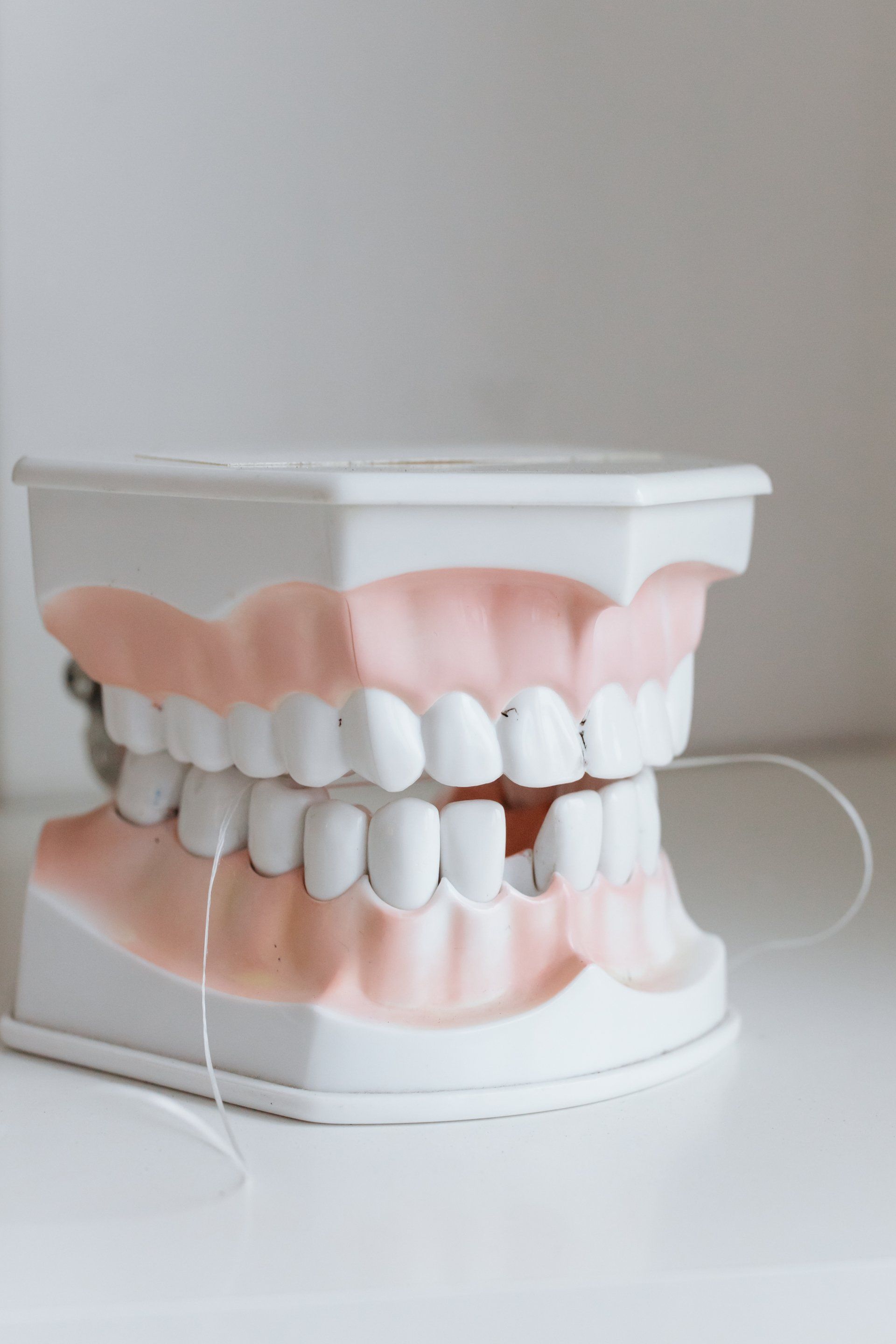Close Up Shot Of Dentures — Root Canal Therapy in Newcastle, NSW