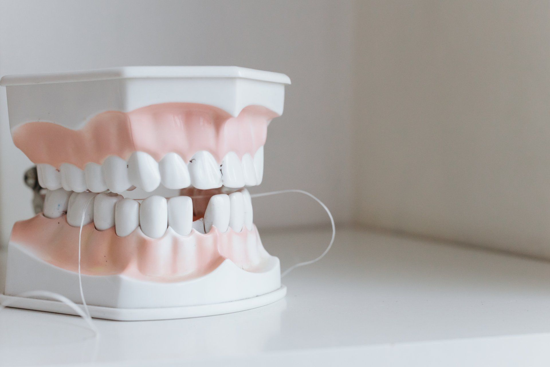 Close Up Dental Model of Dentures With Floss — The Denture Care Group Sunshine Coast in Caloundra, QLD