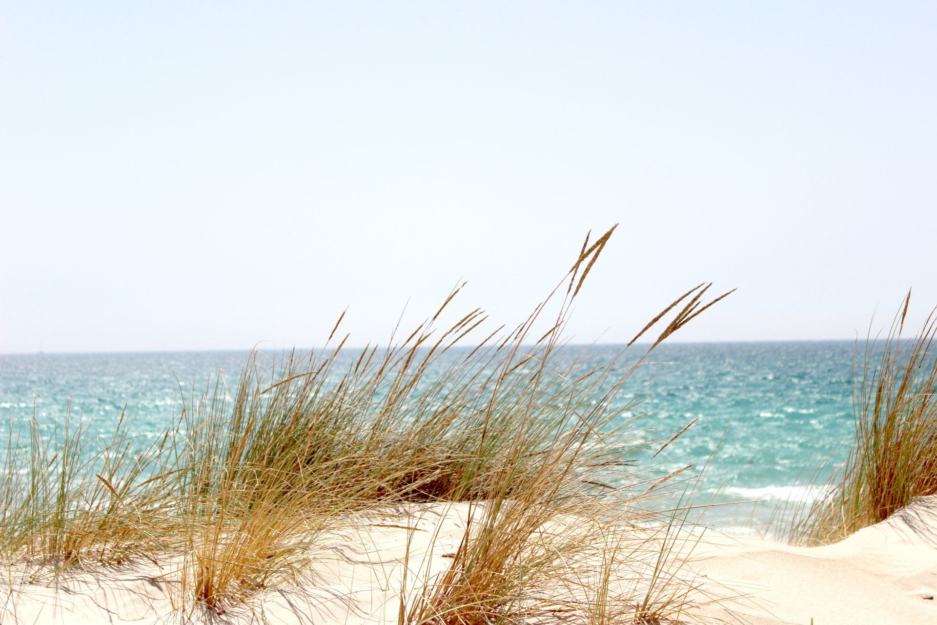 beach photo