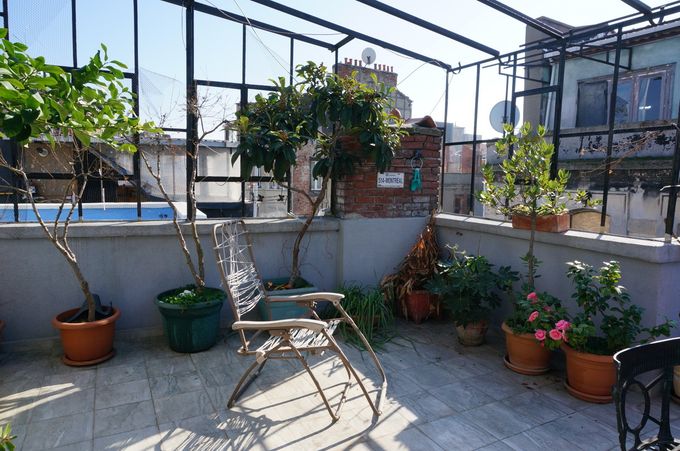 A rooftop garden with potted plants and a chair