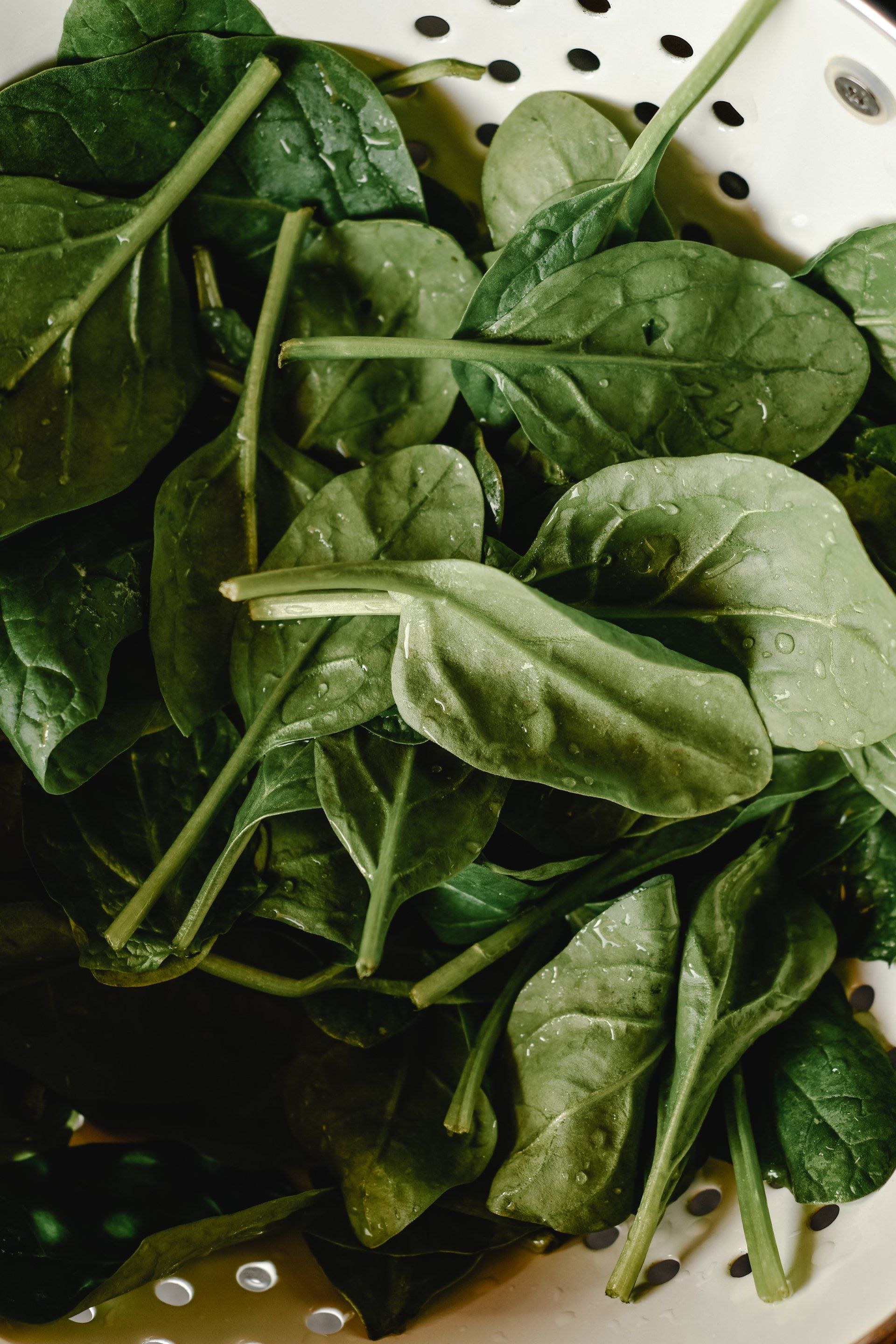 Spinach grown without pesticides at a farmers market in Tampa Bay
