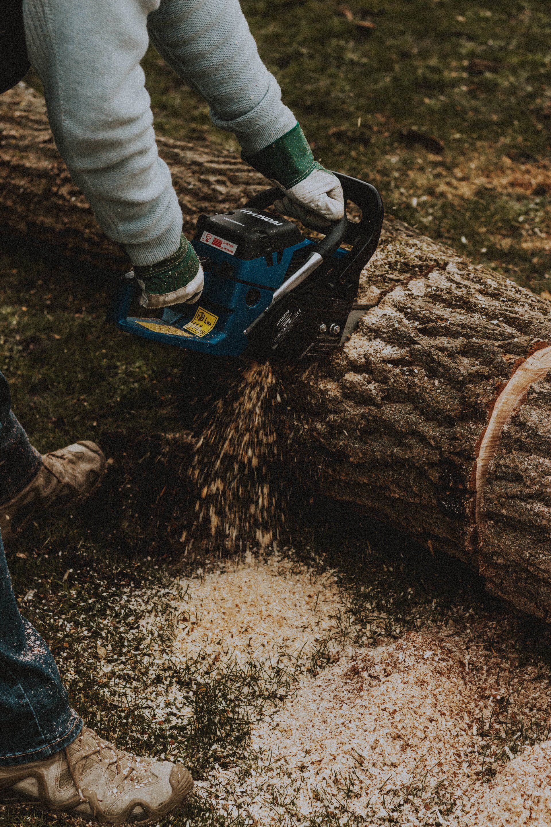 A person is cutting a log with a chainsaw.