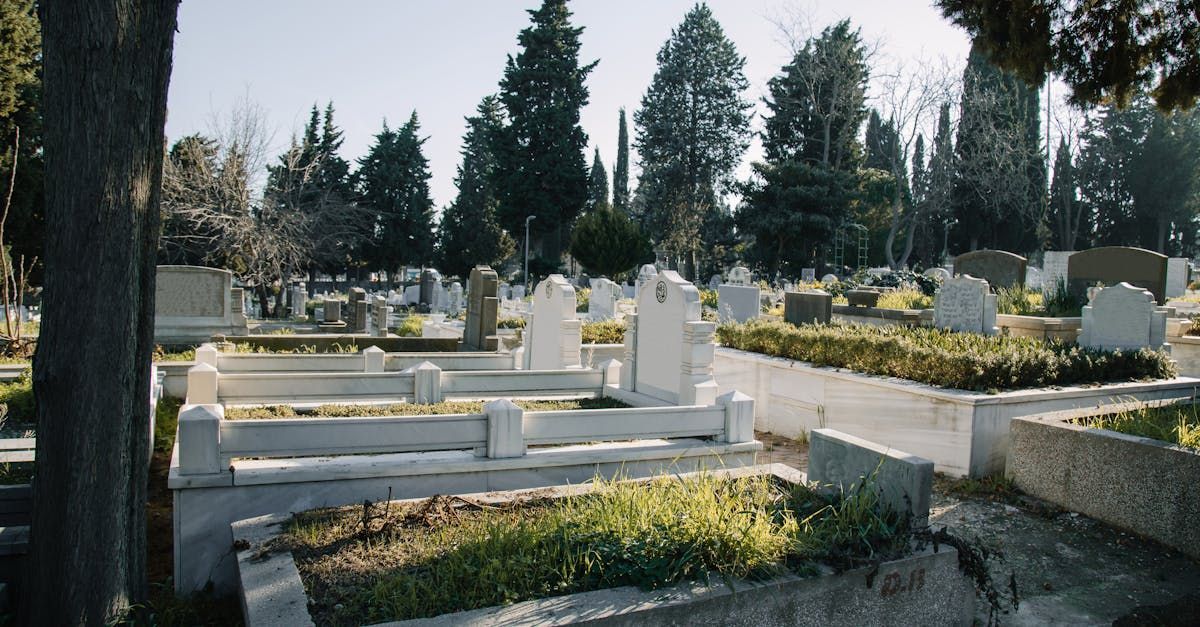 cimitero