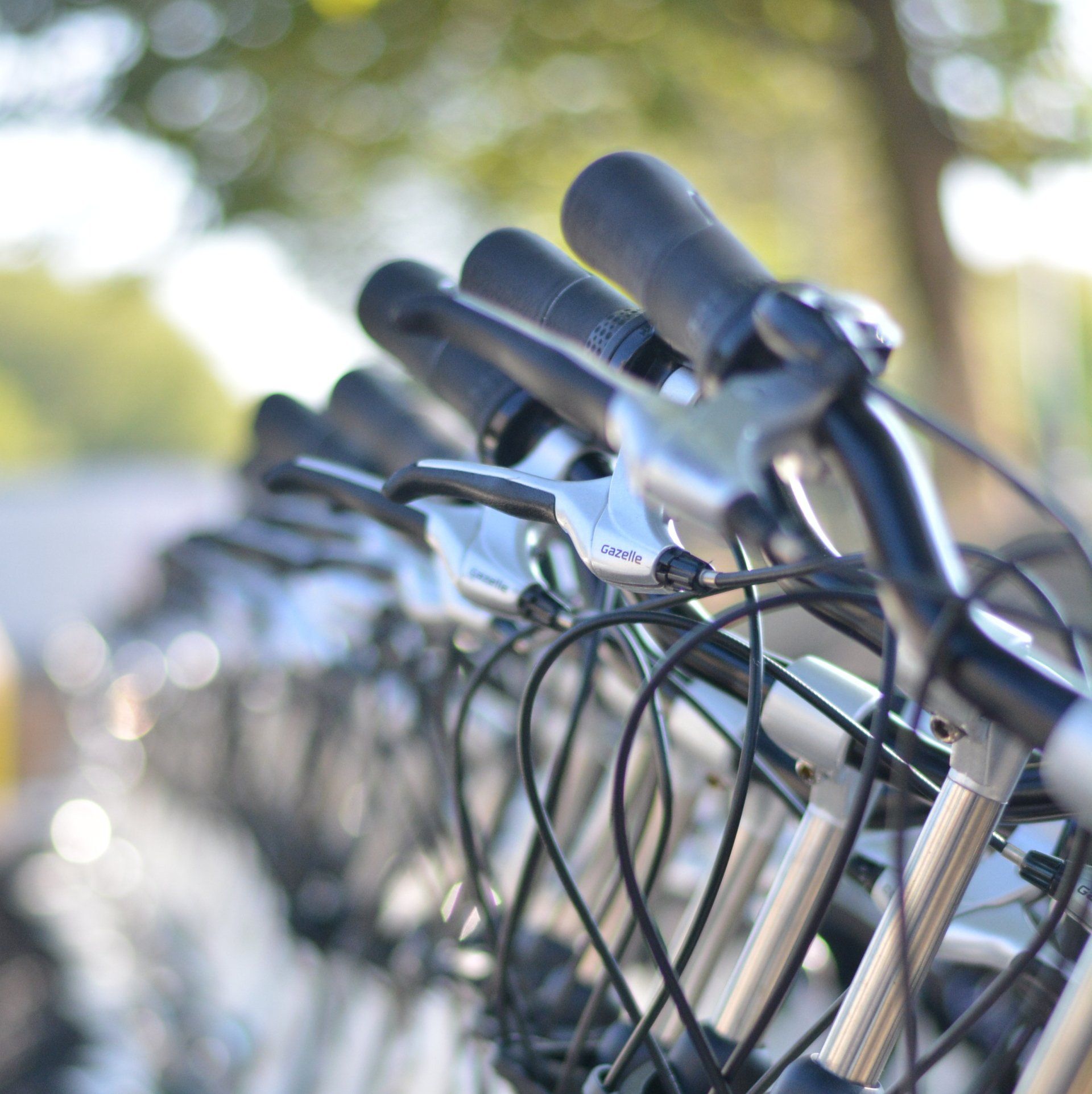 Man and woman riding bikes