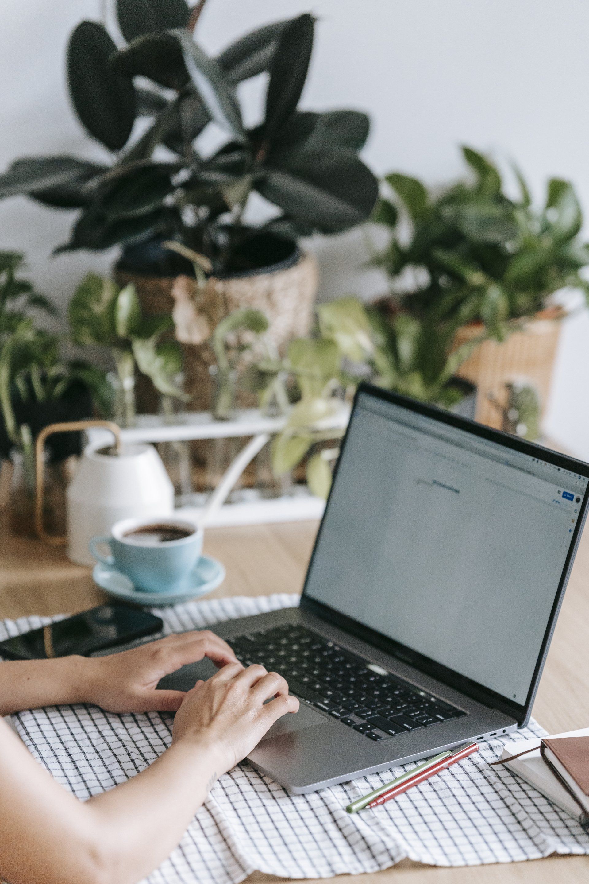 Hands typing on a laptop at a wooden table with a coffee cup, phone, and plants in a bright room.