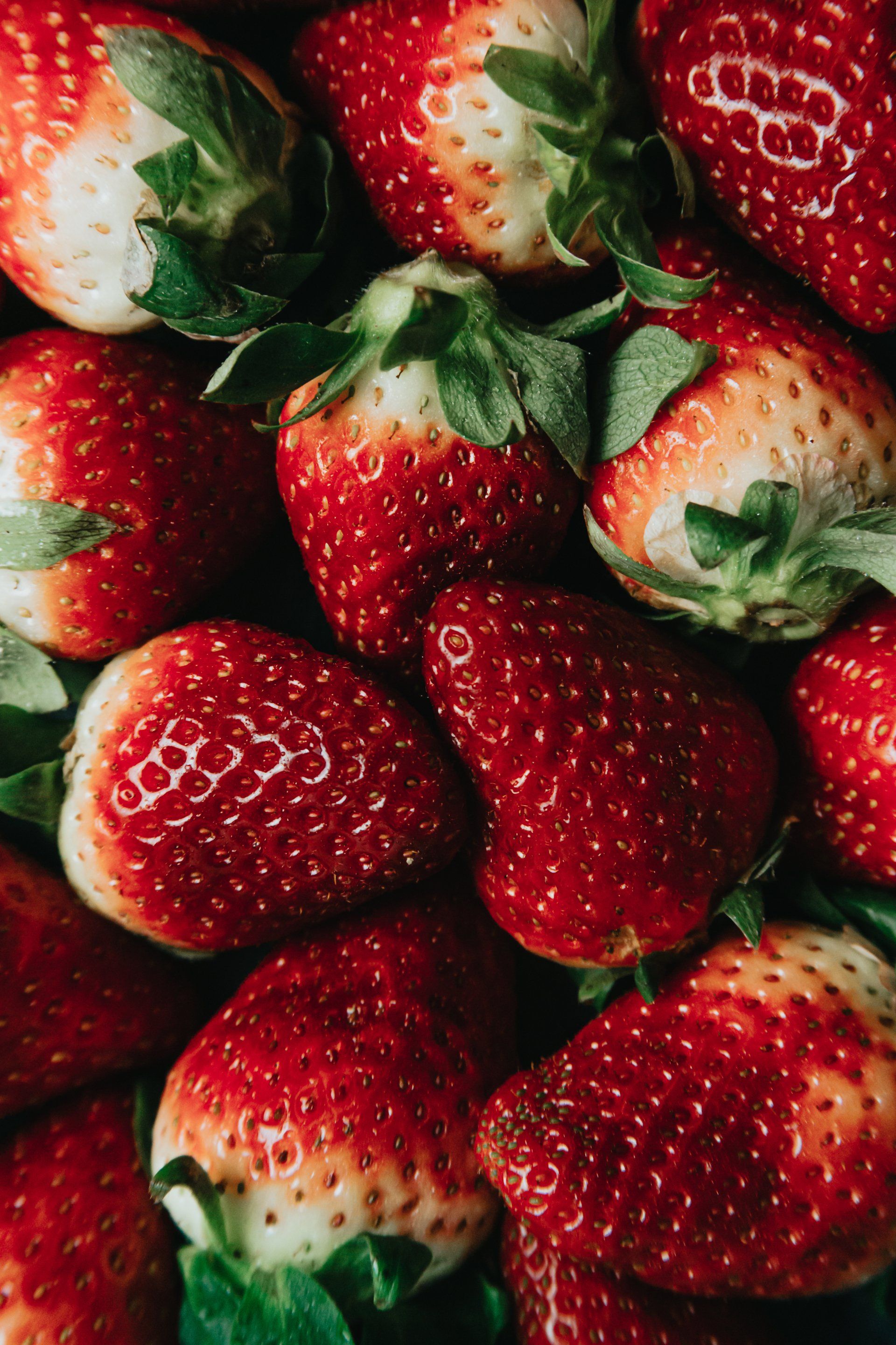 Erdbeeren am Bodensee - Urlaub am Bodensee