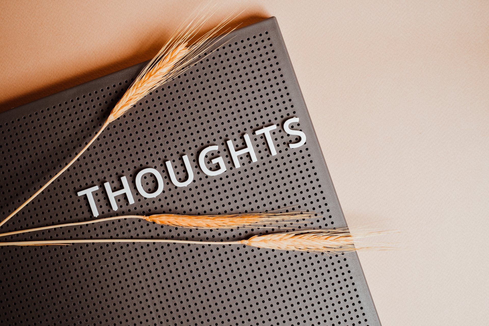 Bellbird SEO Boost Blog Thoughts Mindset