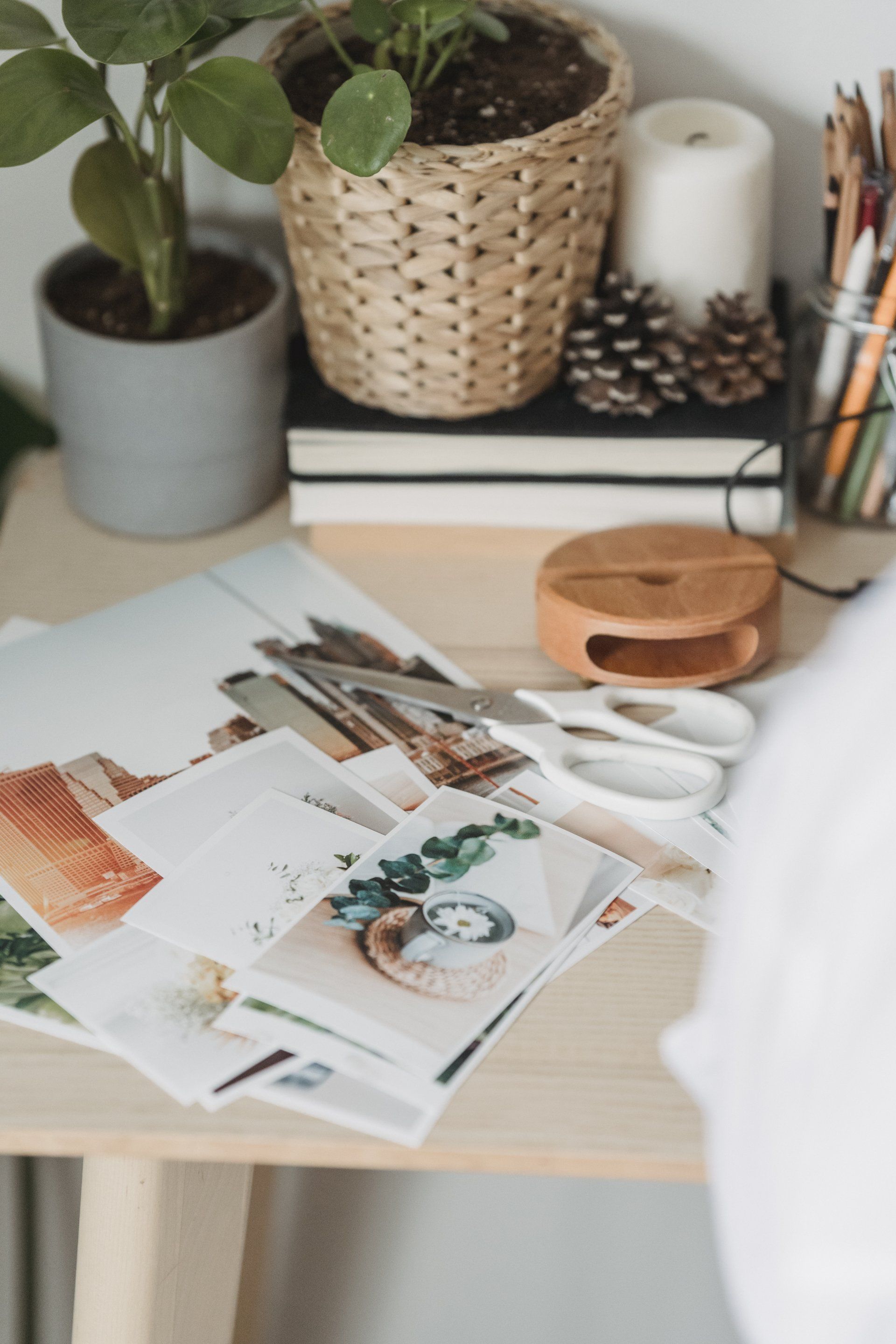 A creative mood board featuring images, color swatches, and design elements for inspiration.