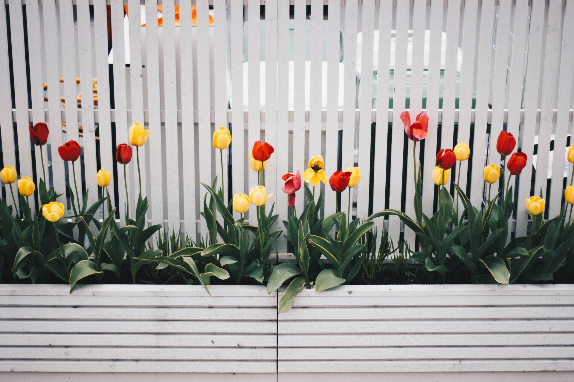 beautiful white new fence