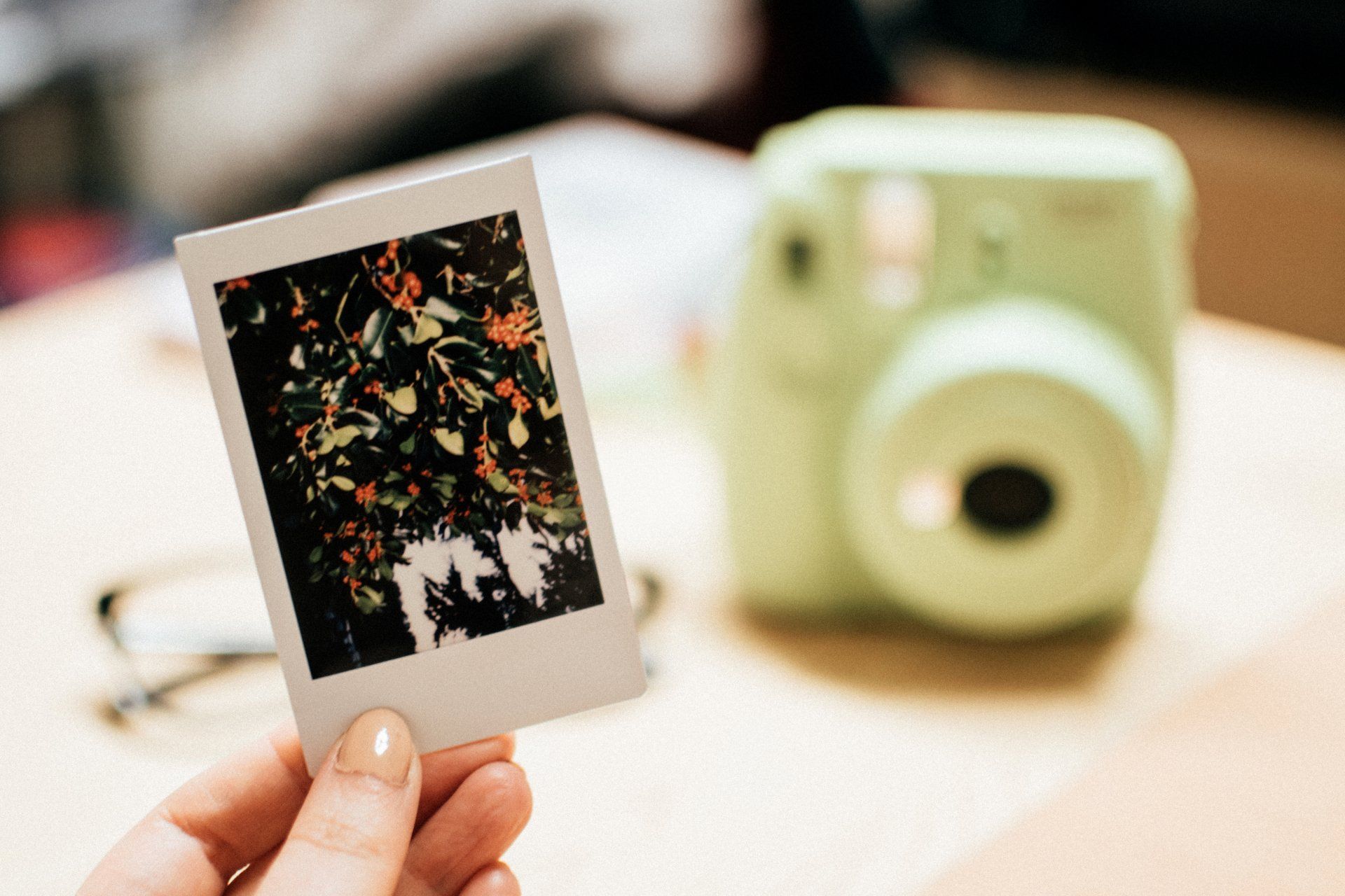 Eine Hand hält ein Polaroidfoto von Laubwerk; im Hintergrund ist verschwommen eine grüne Sofortbildkamera zu sehen.