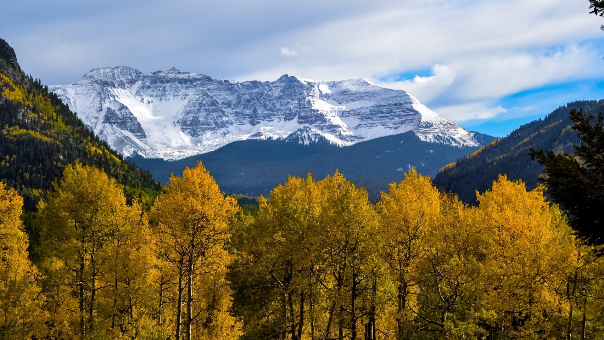 A mountain covered in snow is behind a forest of trees.