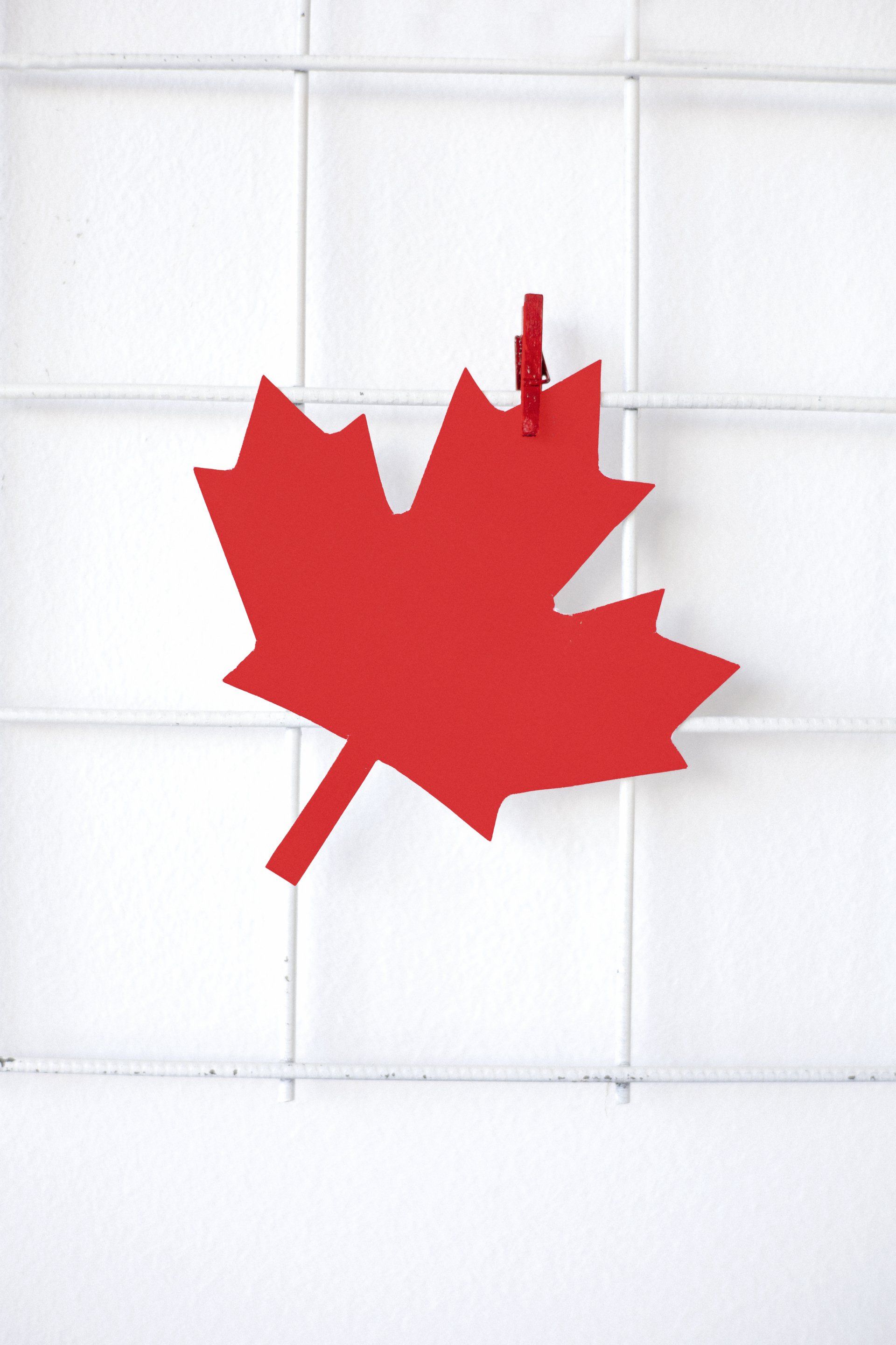 A red maple leaf is hanging on a white grid