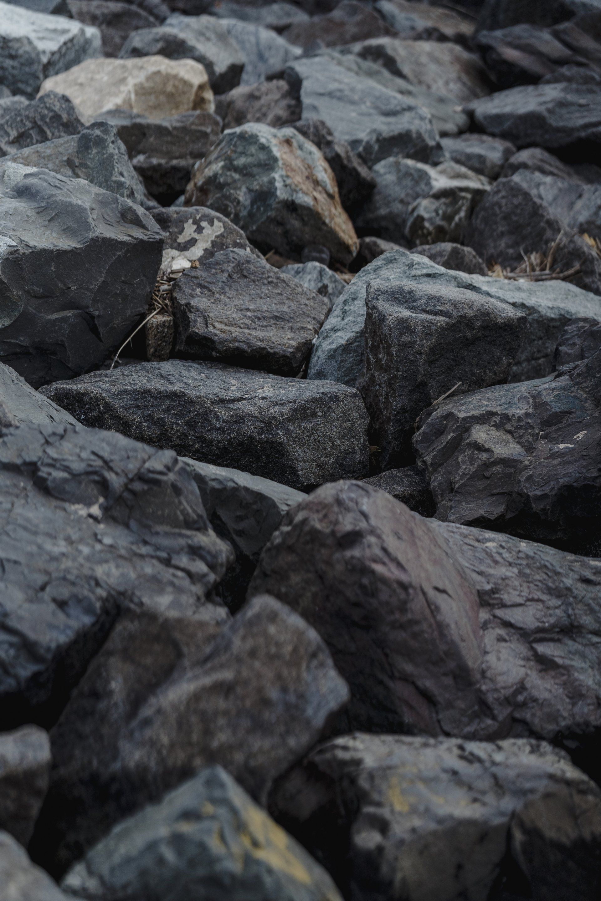 Dark gray rocks piled together, forming a rough rocky surface.