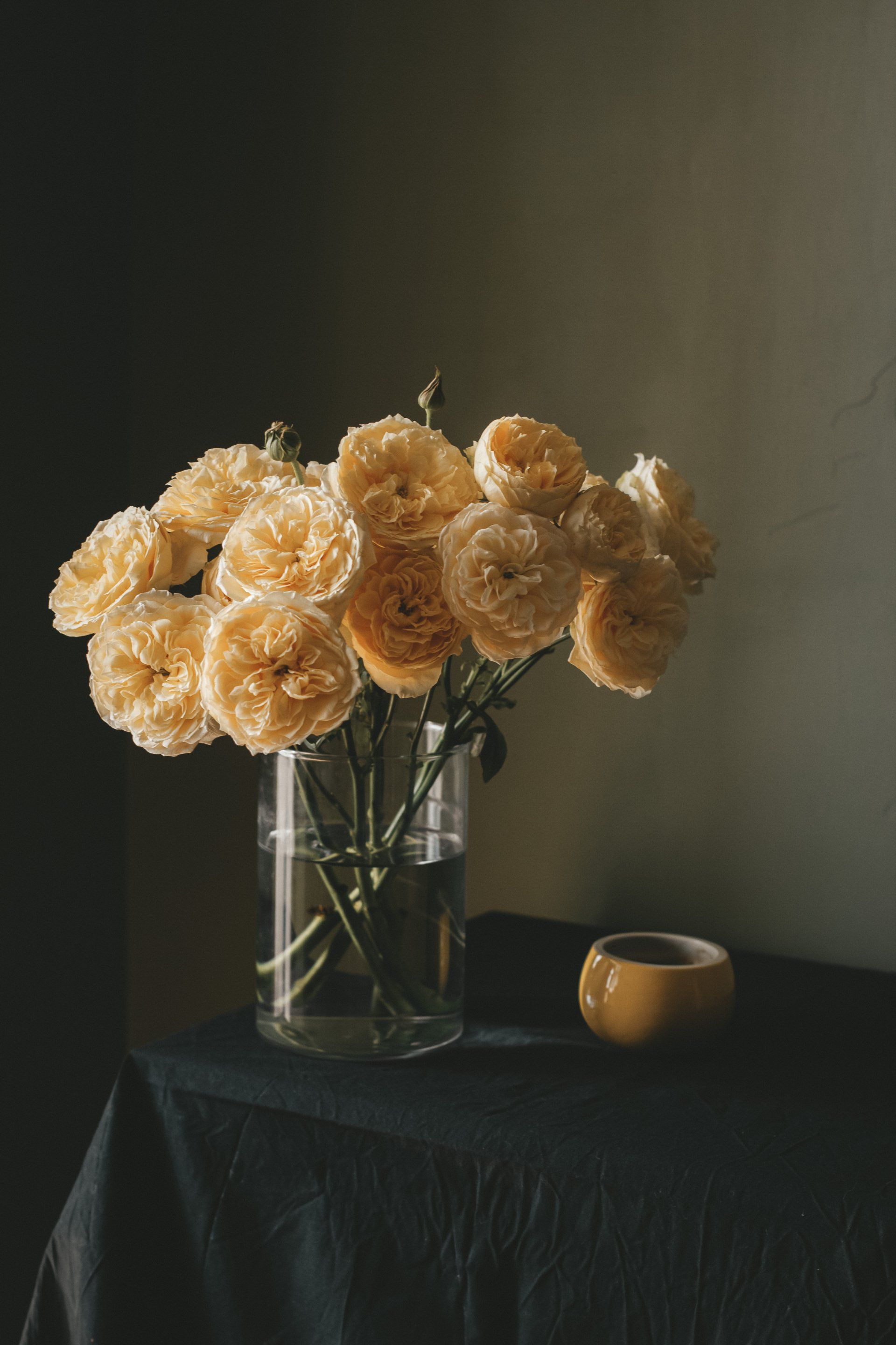 Bloom My House, DIY flowers