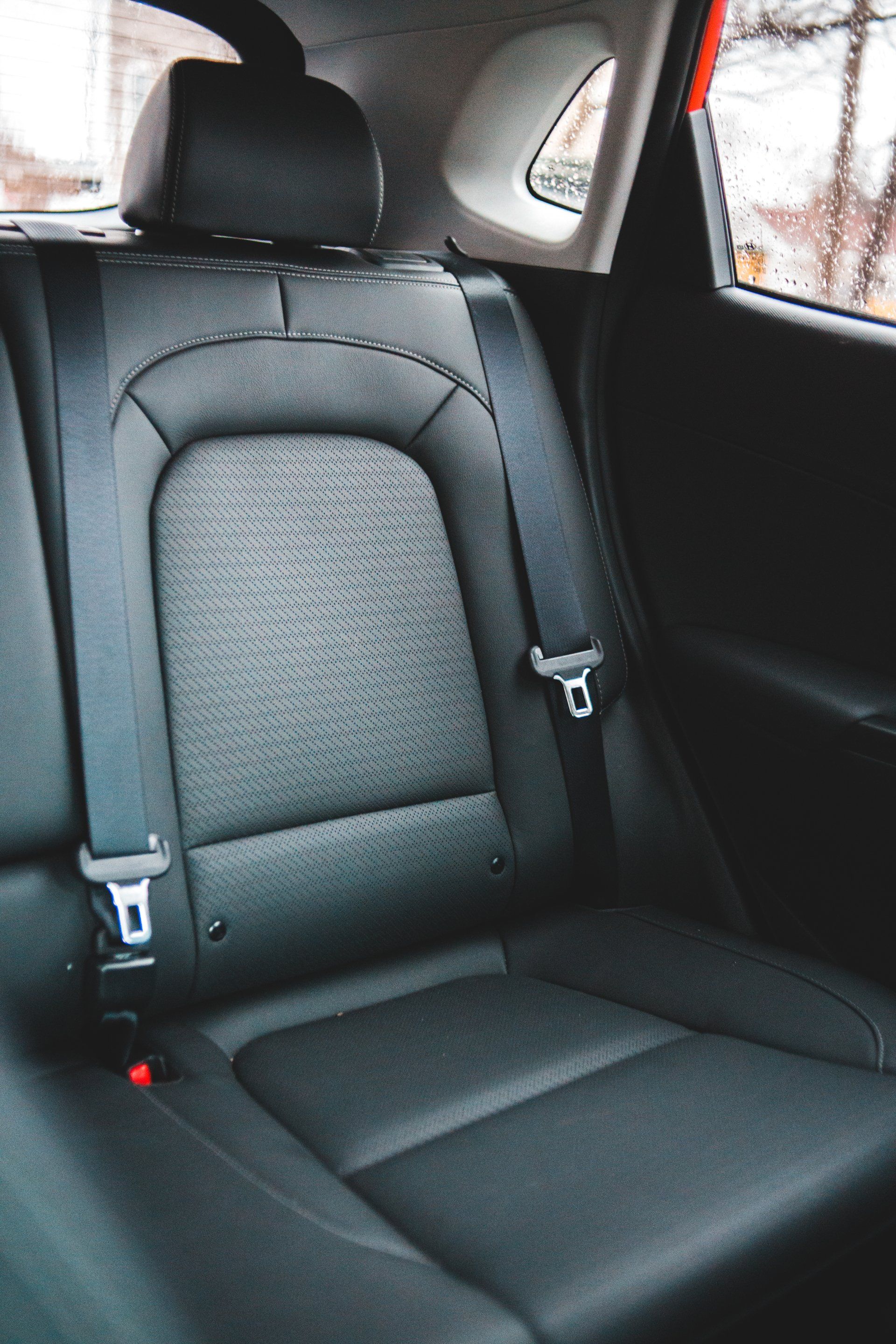 The back seat of a car with a seat belt.