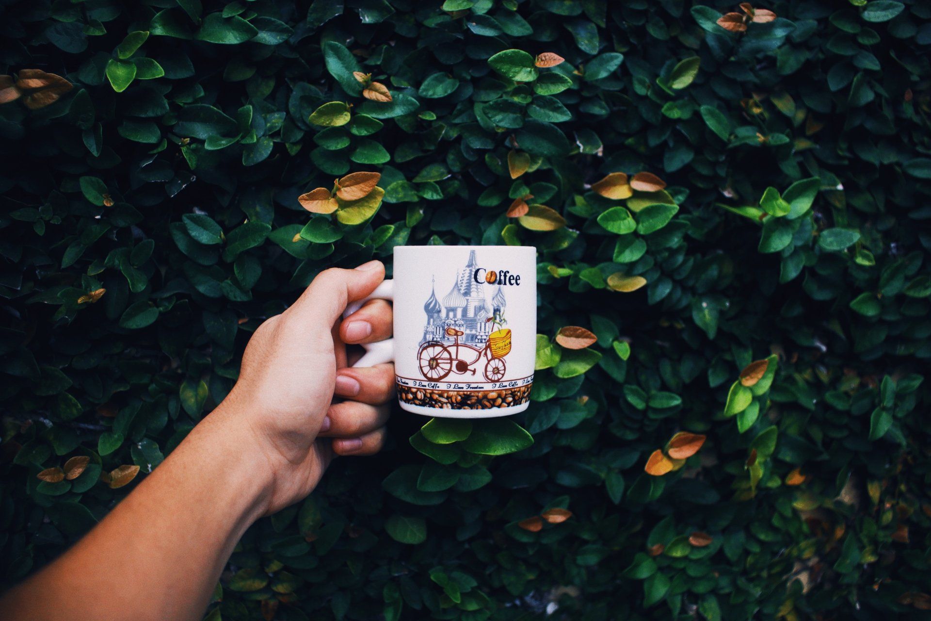 Mugs image
