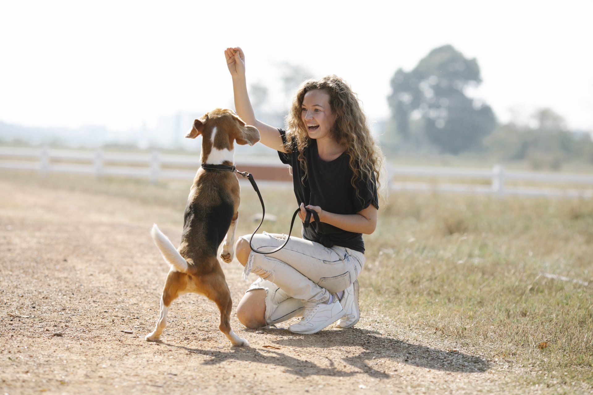 Protecting Your Dog’s Paws This Summer