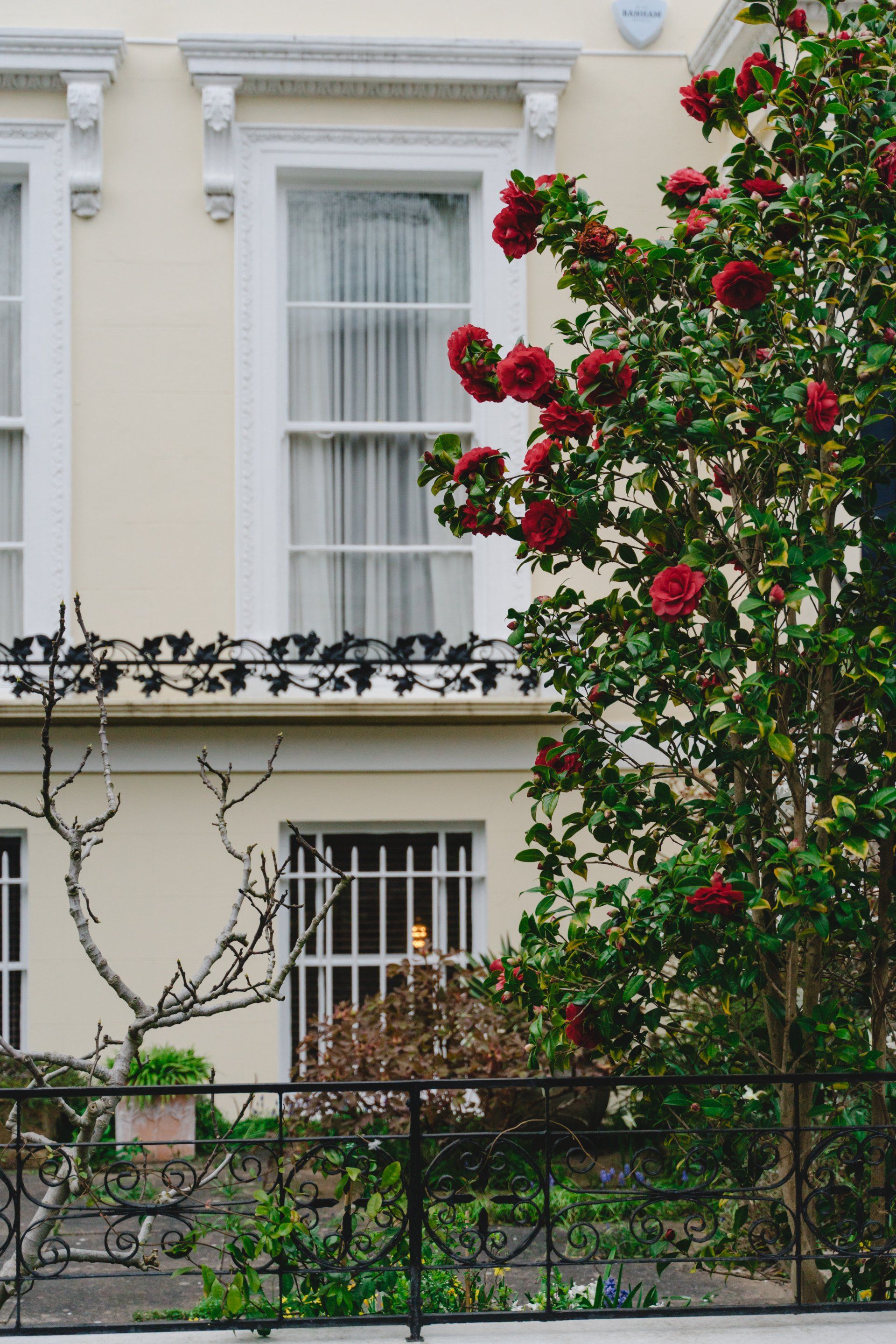 A picture of a London property in summer time