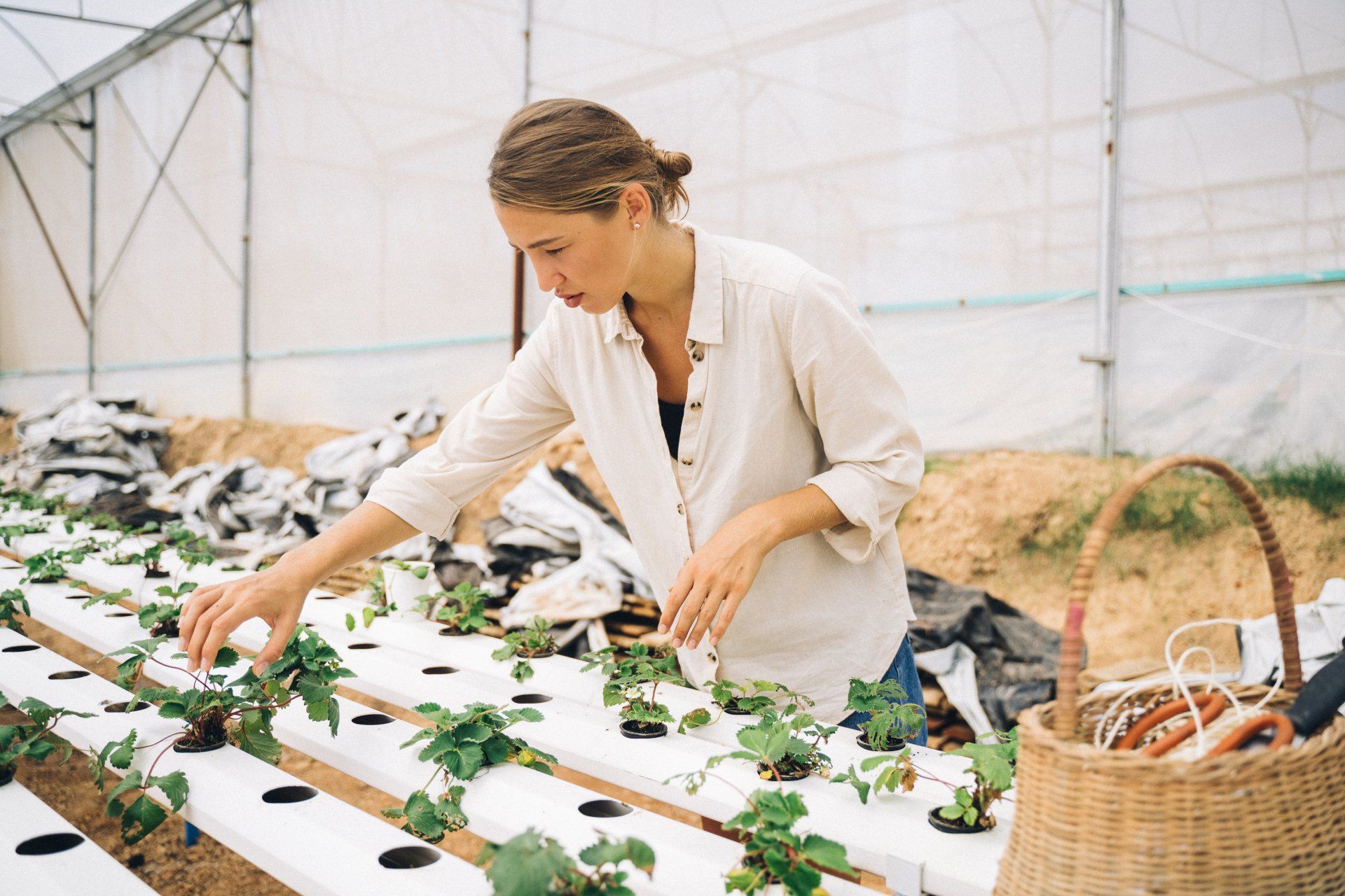 woman looking at hydroponic growing systems woman looking at hydroponic growing systems