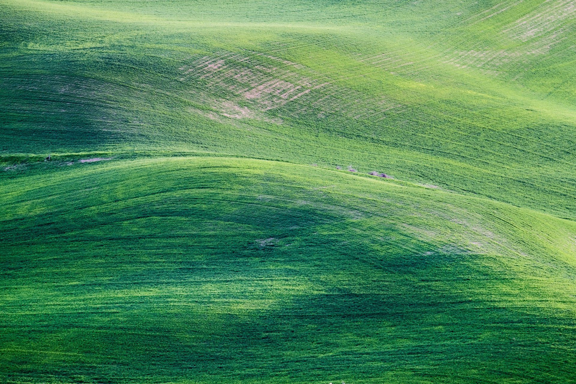 Abstract green landscape with layered grassy hills and soft light tones