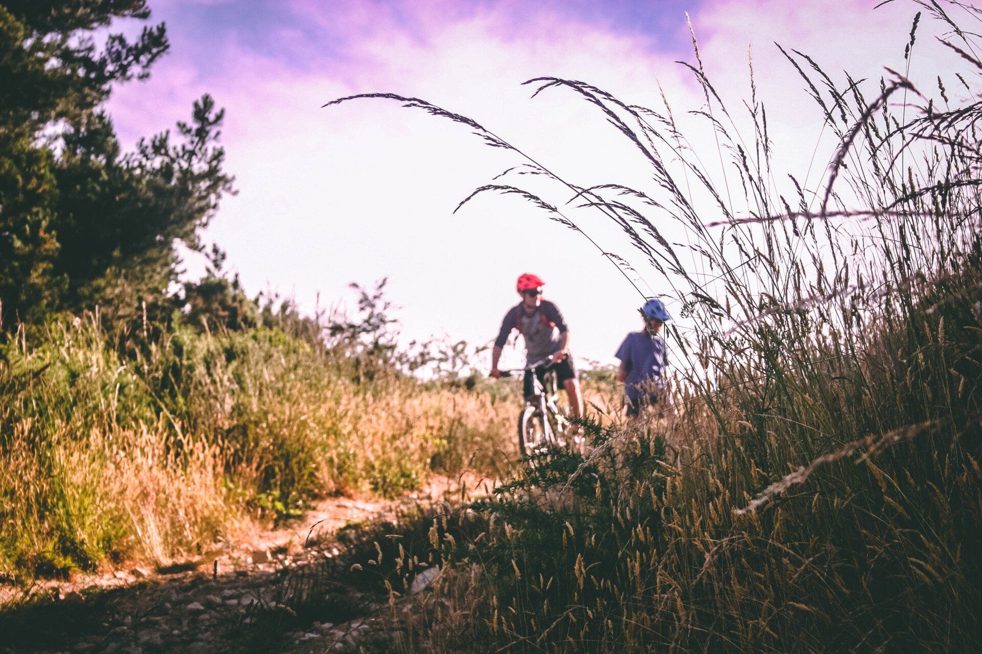 A man and a child are riding bikes down a dirt path.