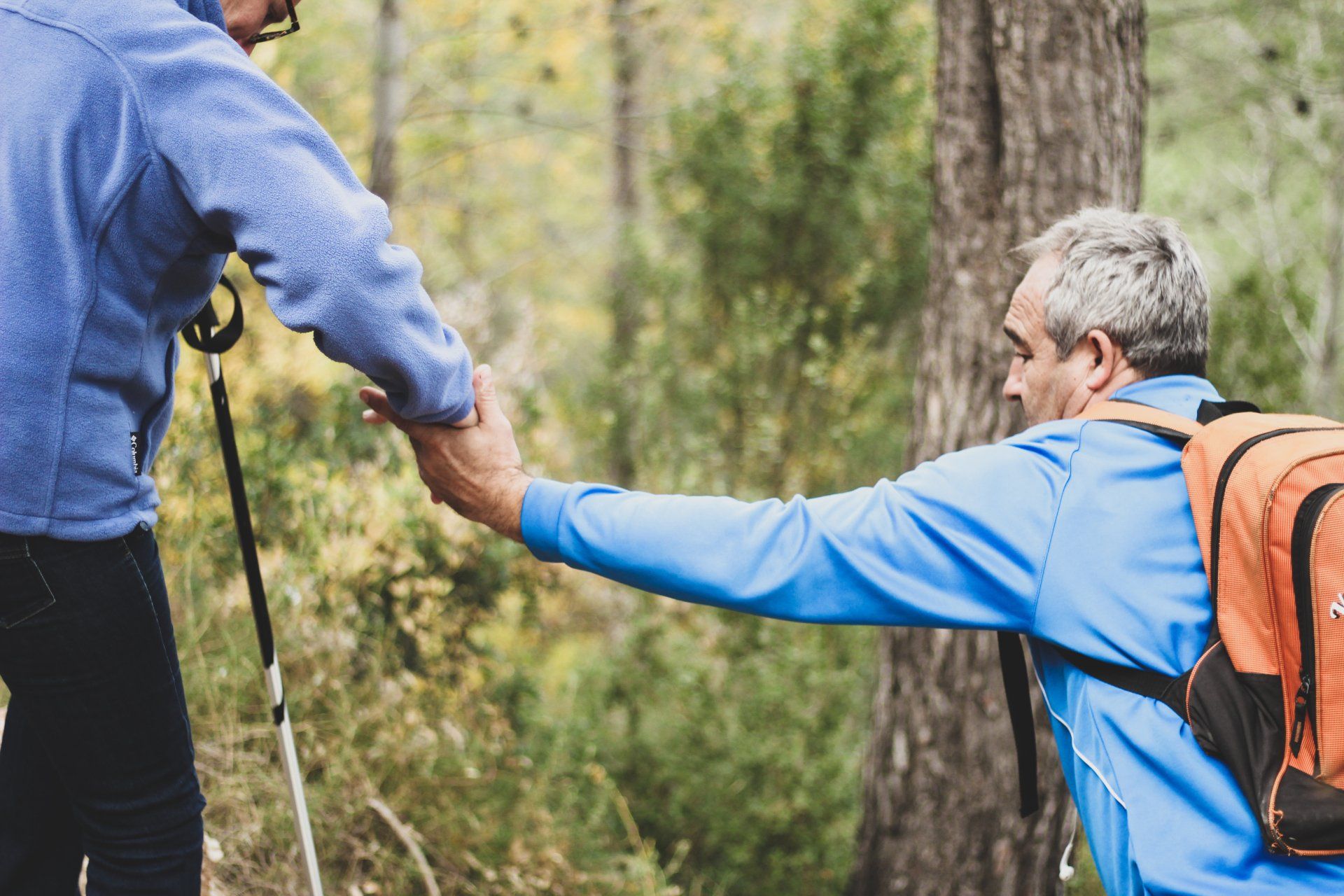 Two hikers assist each other on a forest trail; one is reaching out their hand for support.