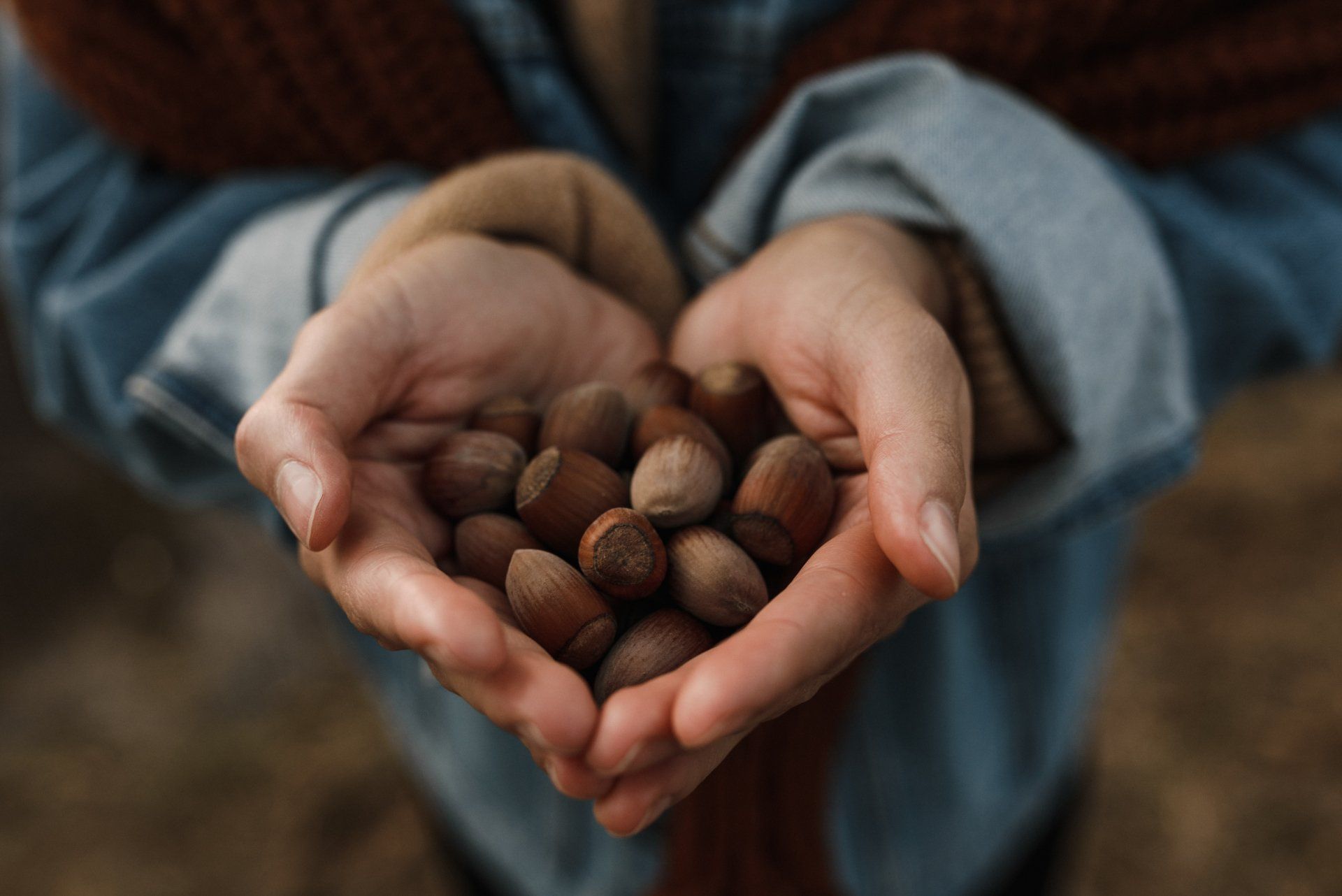 Piedmont hazelnuts IGP